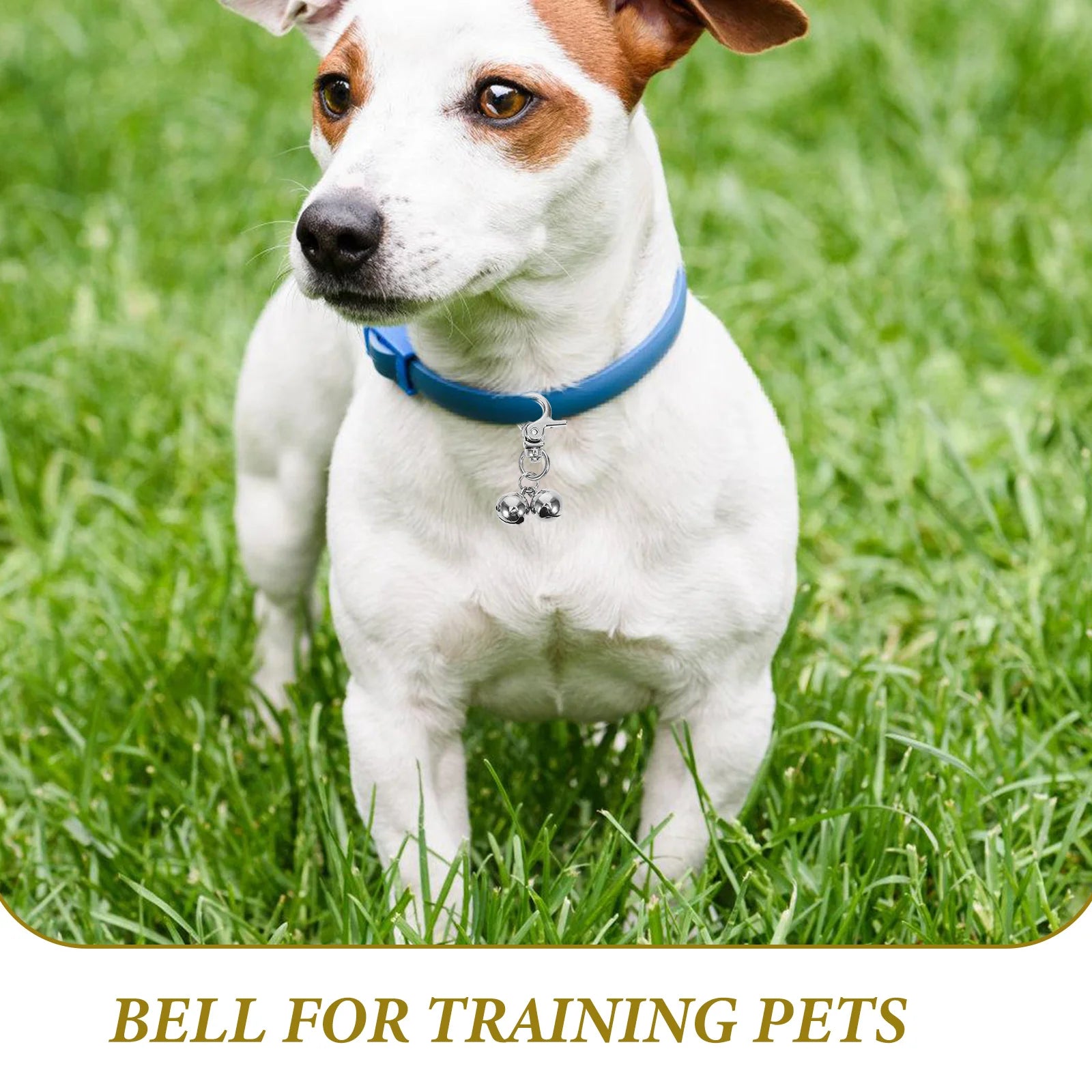 2 Pcs Pet Necklace Bell Dog Collar Accessories Cat Supplies Bells Metal Decorative Hanging Crafted Diy Puppy Locket Pet Products