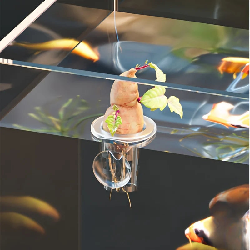5Pcs Clear Plastic Aquarium Planting Cups with Suction Base -  Water Grass Grow Containers for Freshwater Fish Tank Decoration