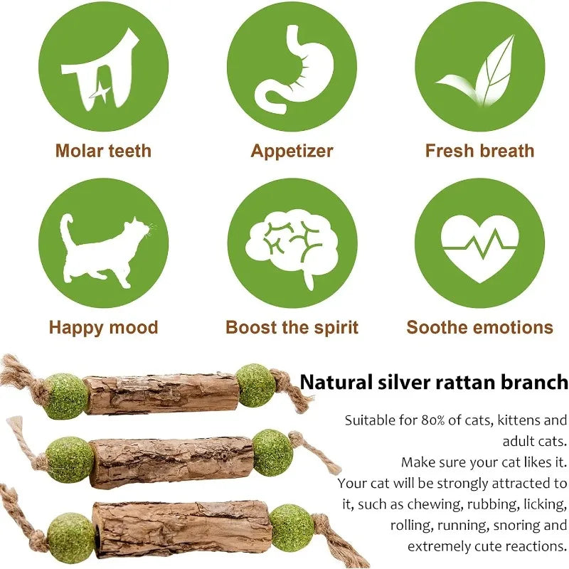 3pc Pure Natural Catnip Cat Molar Teething Stick Cat Cleaning Teeth Silvervine Fruit Matatabi Cat Snack Stick