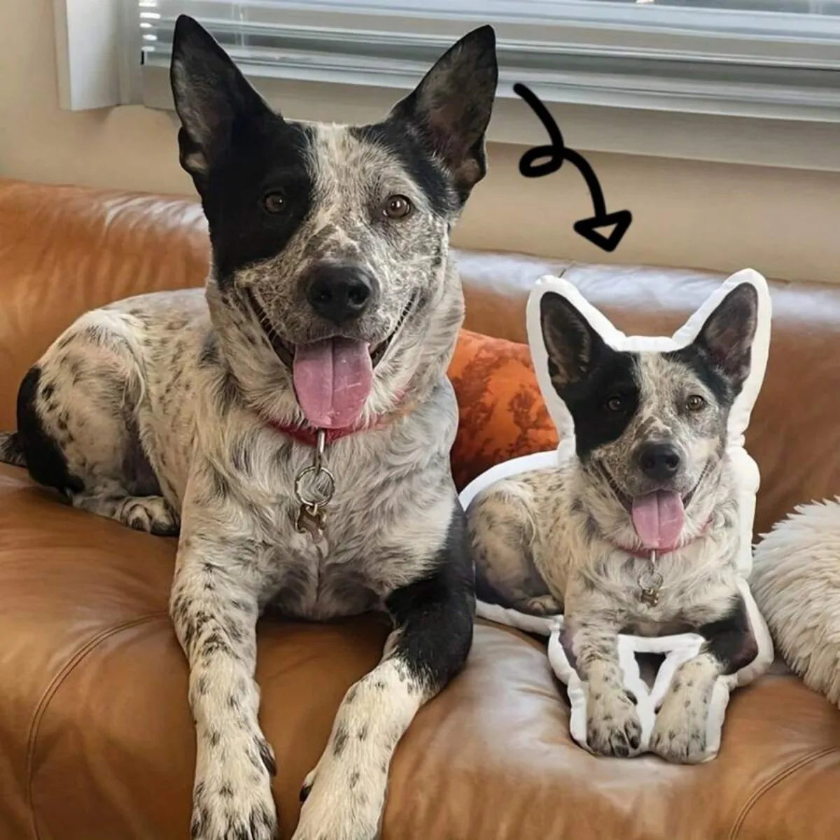 Custom Ugly Cat Dog Zany 3D Shape Pillow Personalized Pet Pillow from Photo Pet Loss Memorial Gift Stuffed Toys Dolls