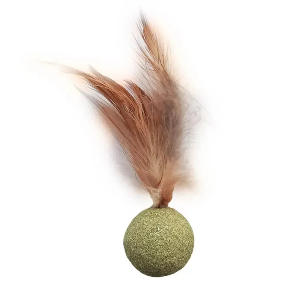 Pet Catnip Toys Edible Catnip Ball Healthy Cat Mint Cats Household Chasing Game Toy Products Cleaning Teeth Pet Toy Supplies
