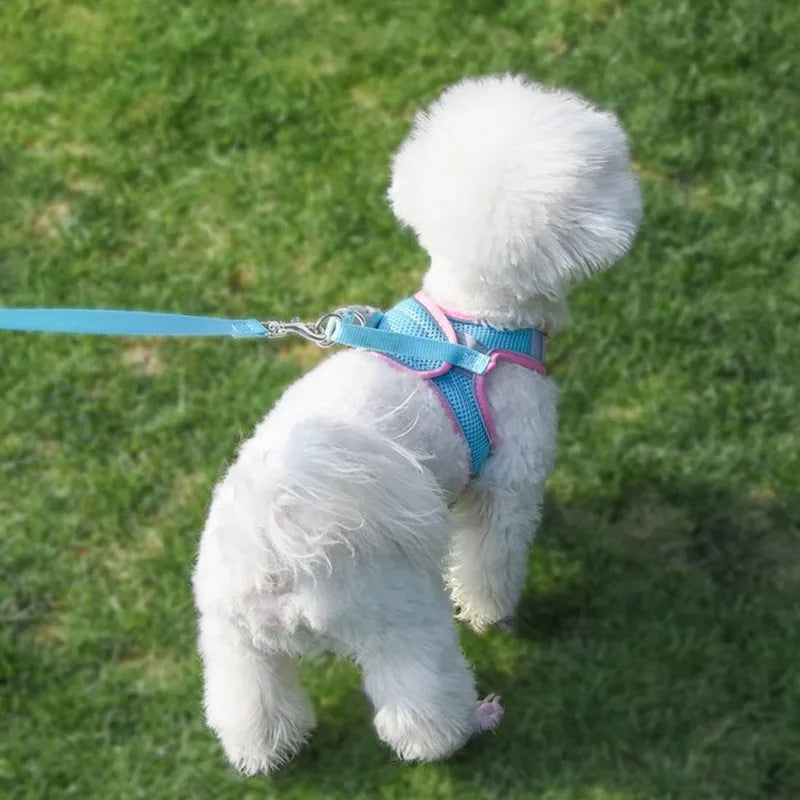 Cat Harness Vest Chest Rope Set with 1.5m Rope Reflective Breathable Adjustable Pet Harness for Small Medium Dog Outdoor Walking