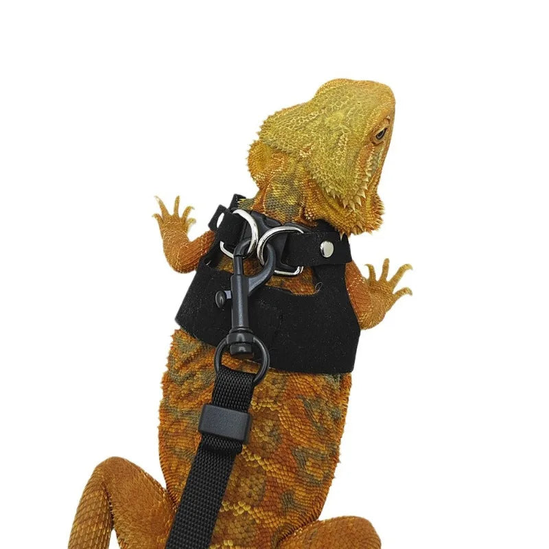 3 Pieces Set Split Lizard Leash Breathable Reptile Harness for Chameleon Squirrel Outdoor Pet Walking Accessory