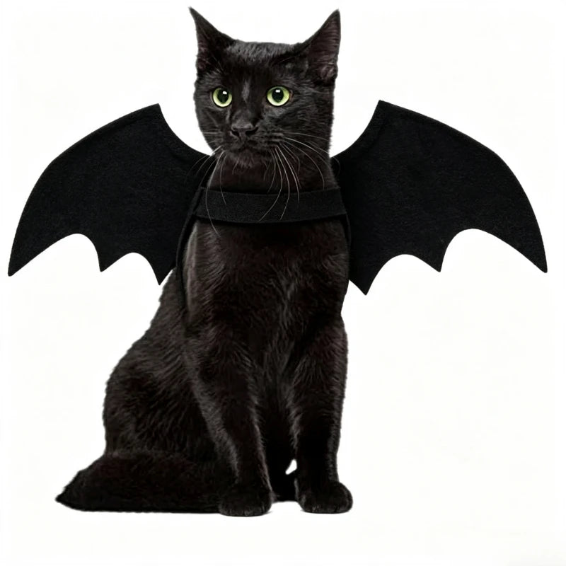 Halloween Cat Bat Wings Costume, Adjustable Black Felt Pet Cosplay Harness Dress Up Accessory for Kitten