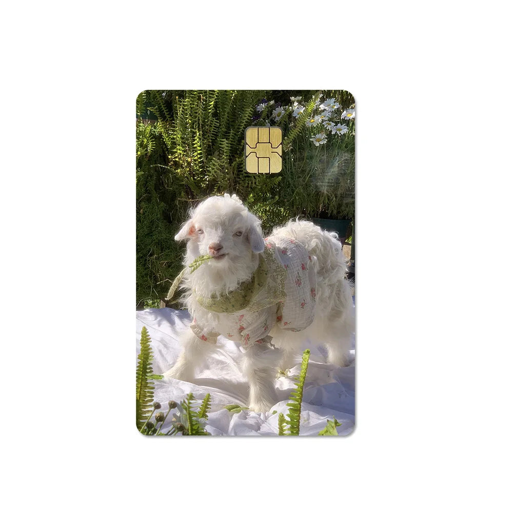 Cute Pet Puppy Kitten Lamb Credit Debit Card Sticker Bread Dog Bus Pass DIY Waterproof Small Chip Film Sticker Decoration Gift