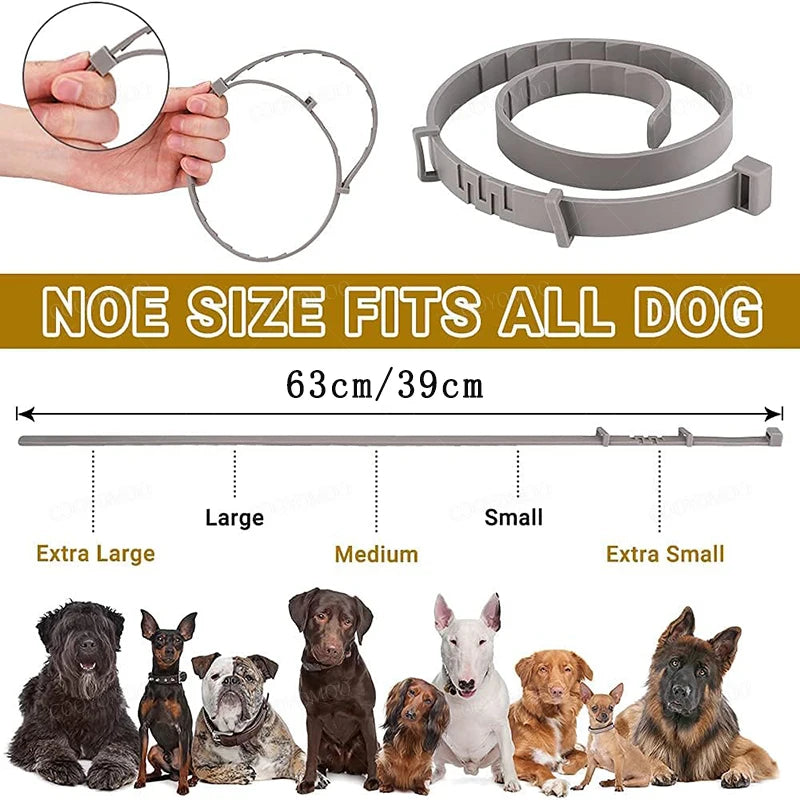 Dog Collars Puppy Dog Cats 72cm 38cm for Small Dogs Kitten Collar Adjustable Pets Items Accessories Gray Blue Balck Pink Purple