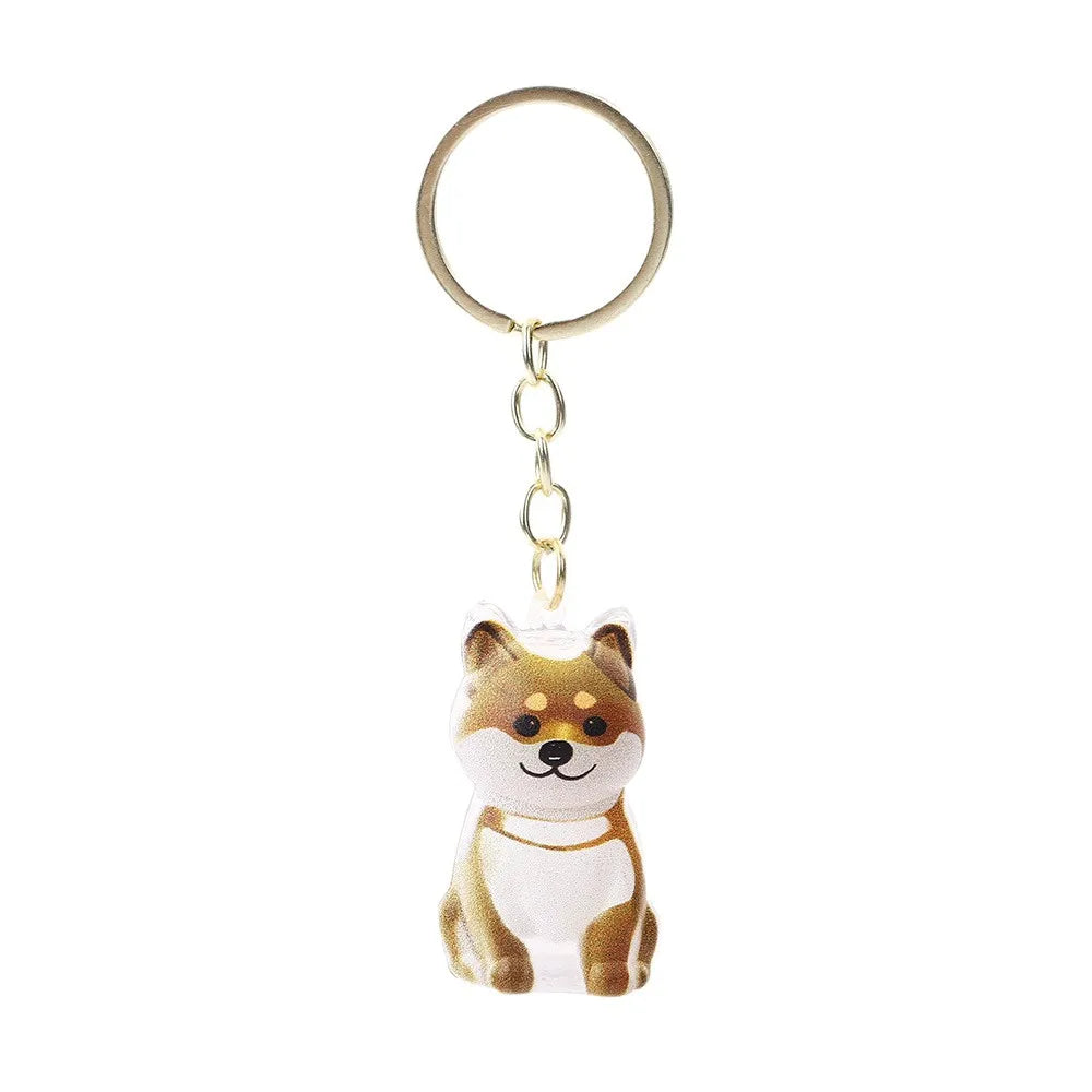 Memory Keychain Creative Cute Dog Keychain Transparent Capsule Pendant Playful Dog Hair Storage Box For Keychains Backpack