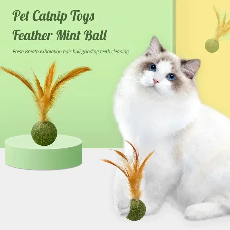 Pet Catnip Toys Edible Catnip Ball Healthy Cat Mint Cats Household Chasing Game Toy Products Cleaning Teeth Pet Toy Supplies