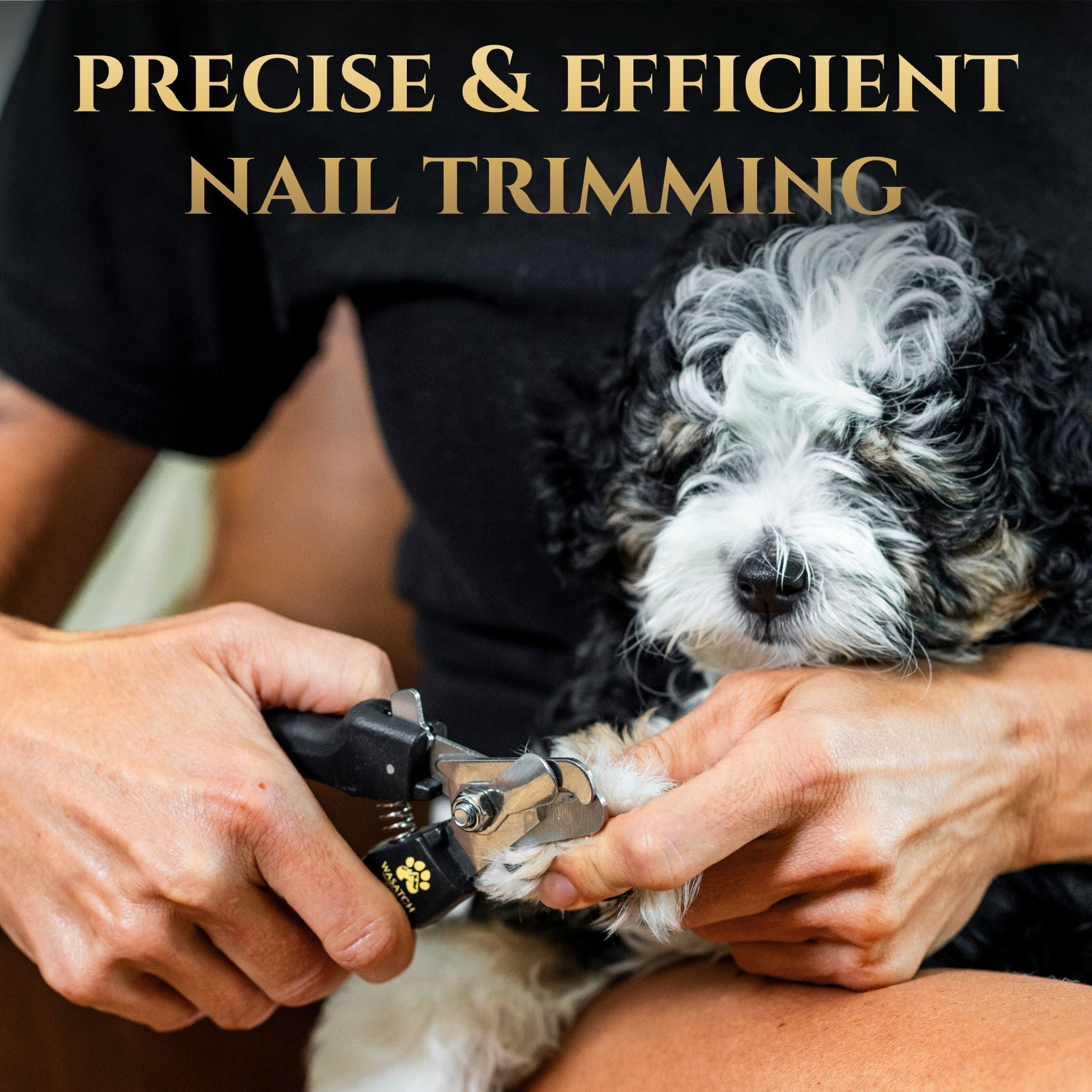 Everyday Pro Nail Clippers