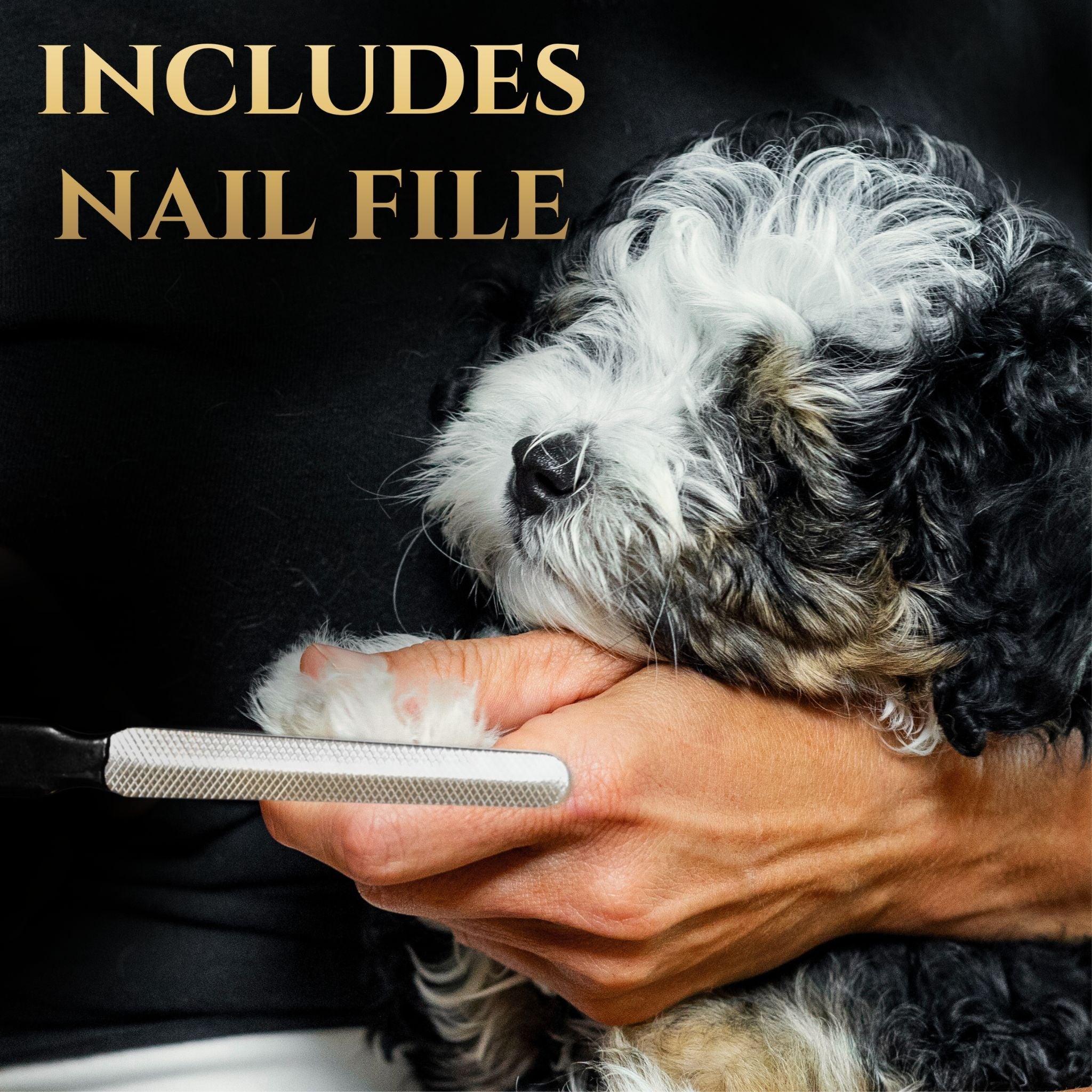 Everyday Pro Nail Clippers