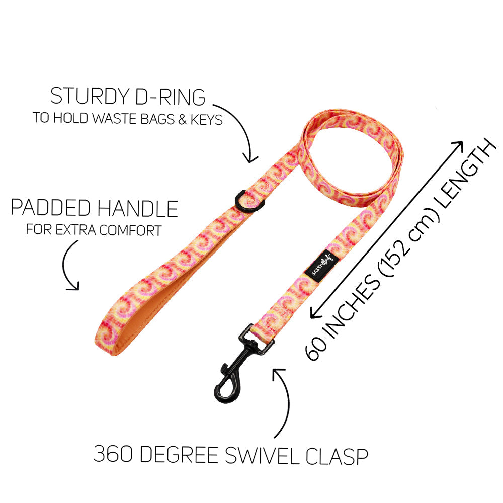 Dog Leash - Summer Sorbet