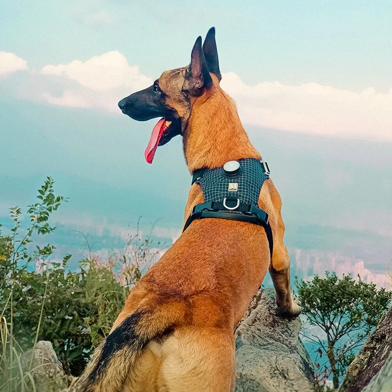 TrueLove Dog Harness with Light TLH6771