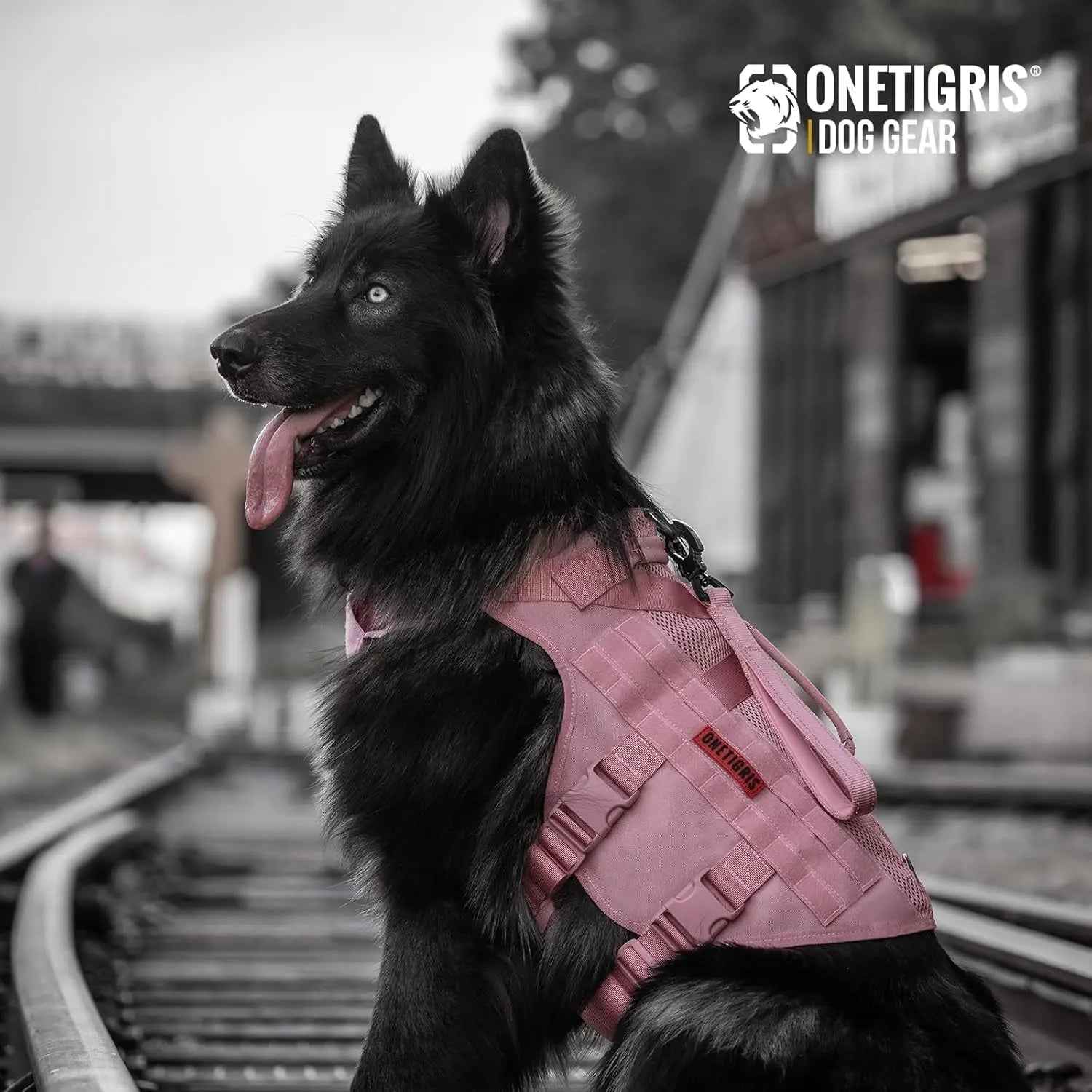 Tactical No-Pull Dog Harness – Mesh MOLLE Vest with Dual Handles