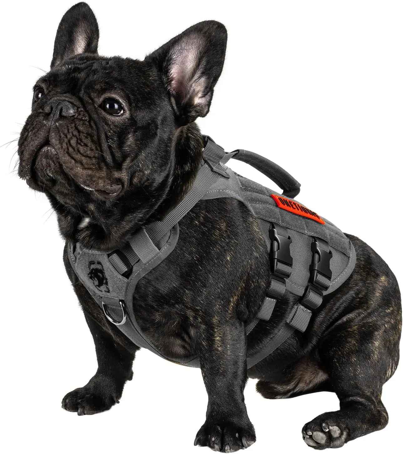 Tactical No-Pull Dog Harness – Mesh MOLLE Vest with Dual Handles