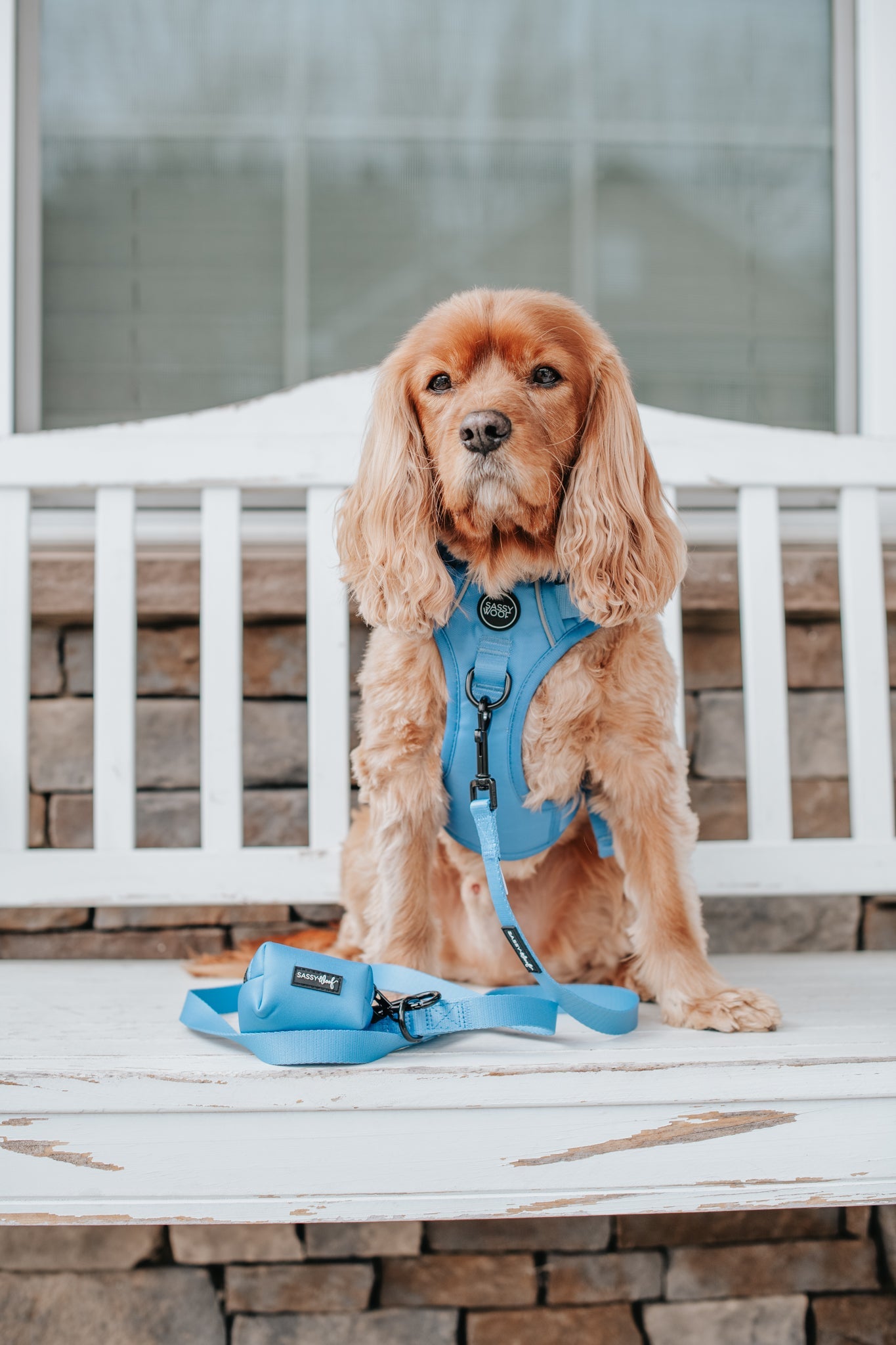 Dog Leash - Hydrangea