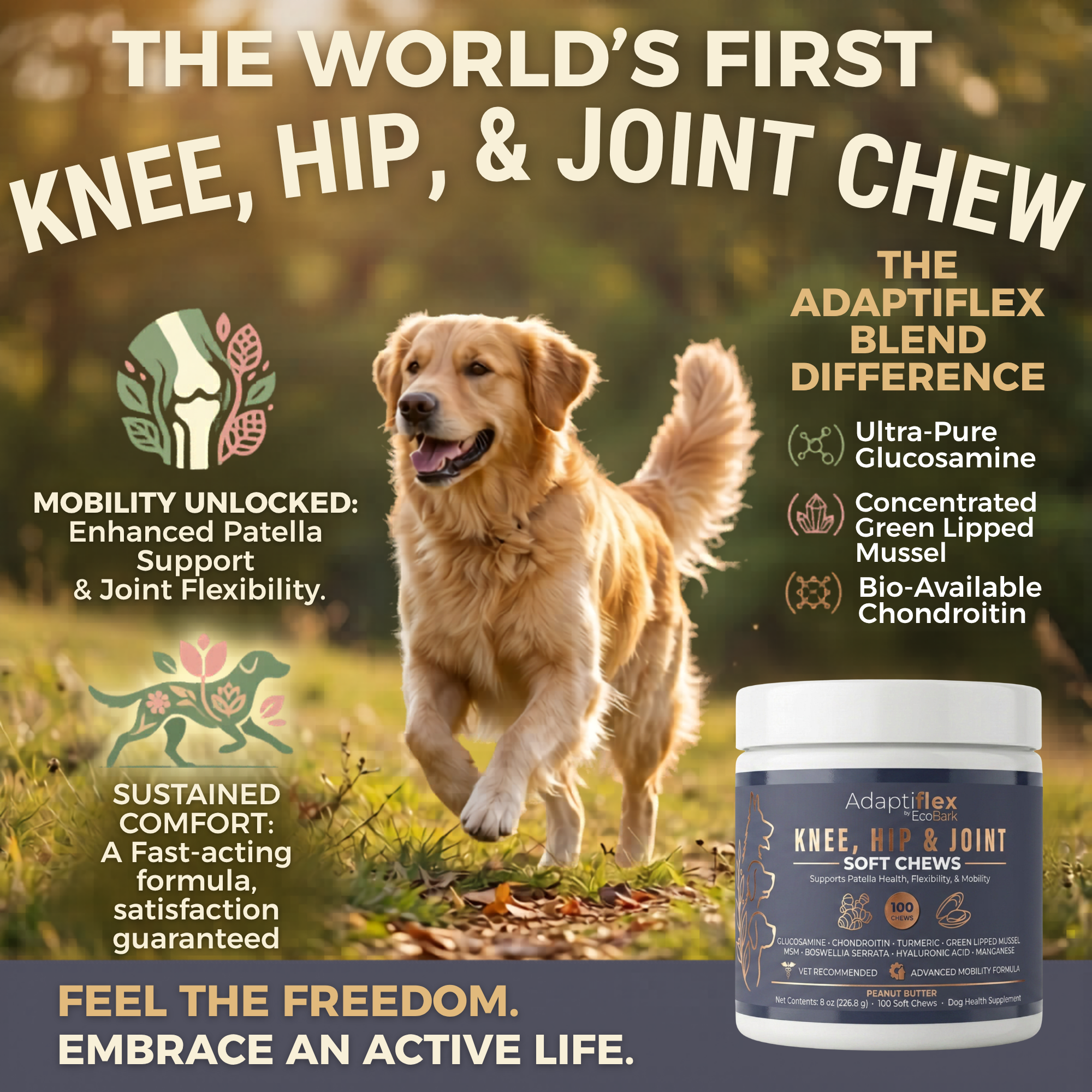Coming Soon: The World's First Knee & Joint Supplement for Dogs with Glucosamine, Chondroitin, and MSM