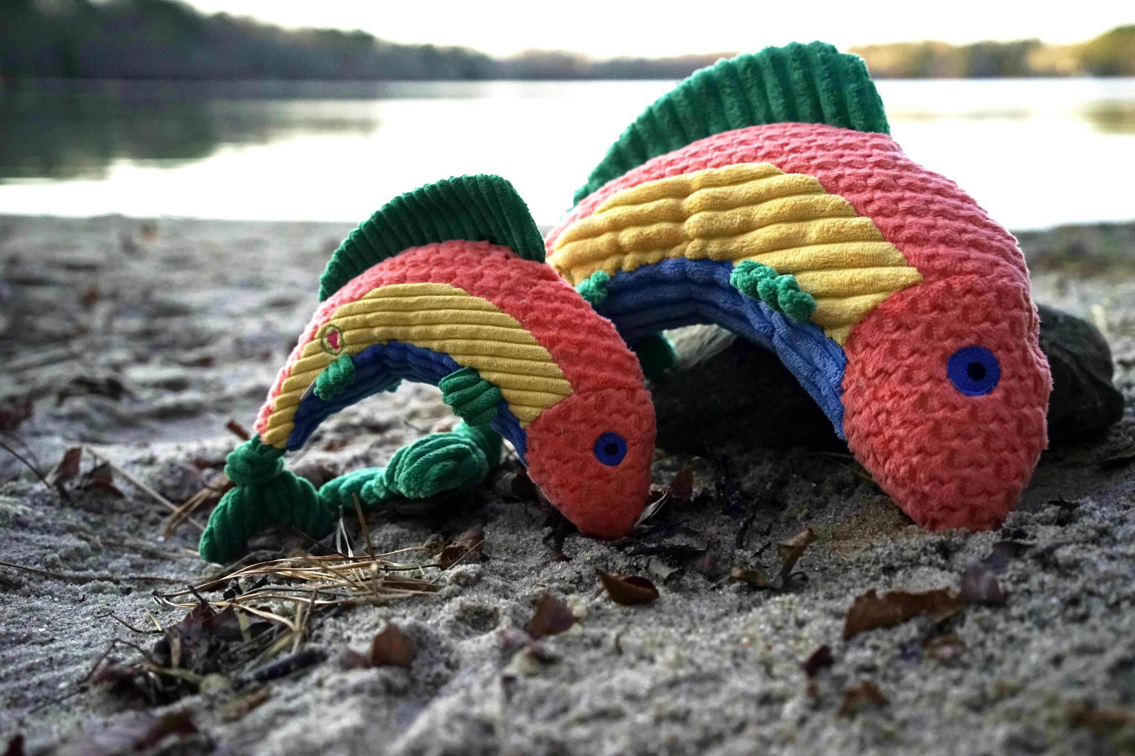 Raucous Rainbow Trout Knottie® Plush Dog Toy