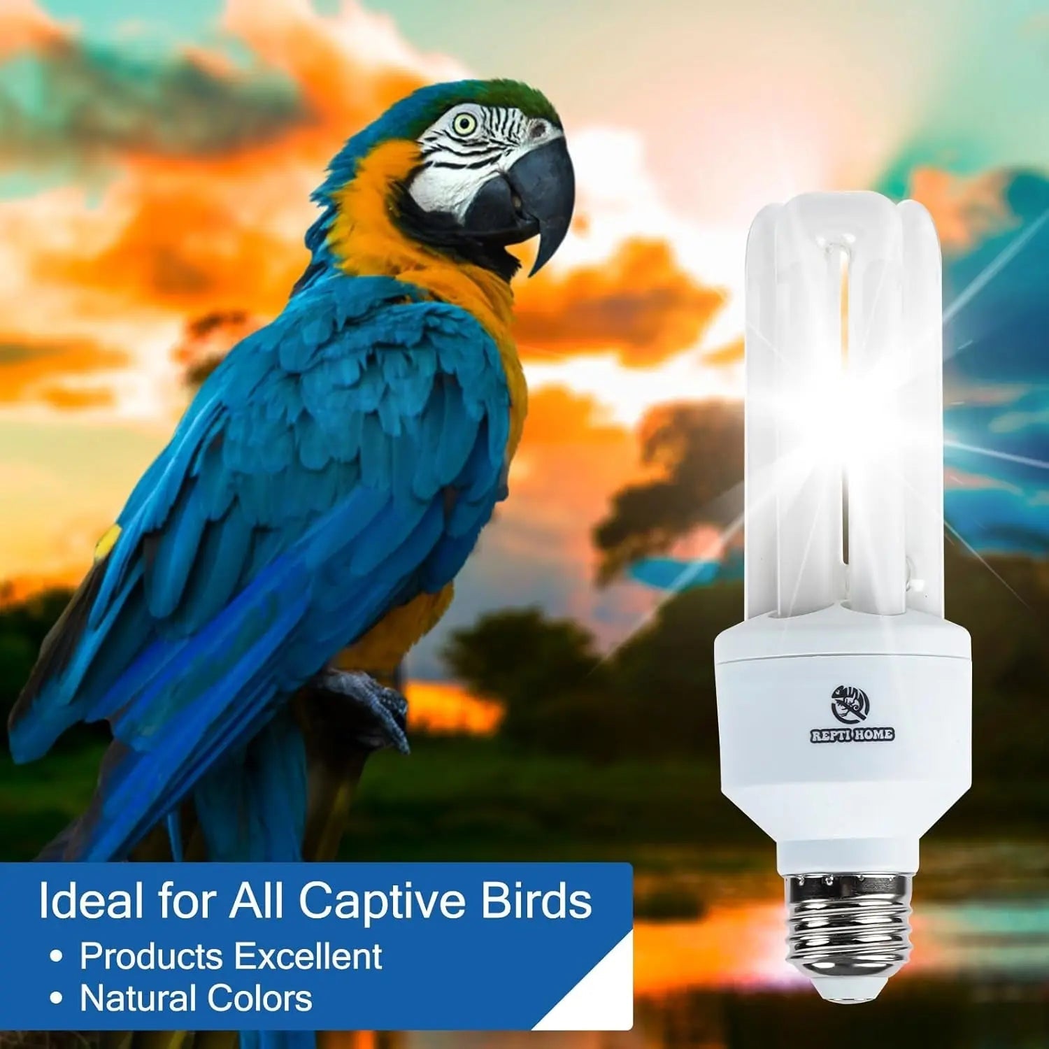 20W Full-Spectrum UVA UVB Bird Light Bulb – Compact Lamp