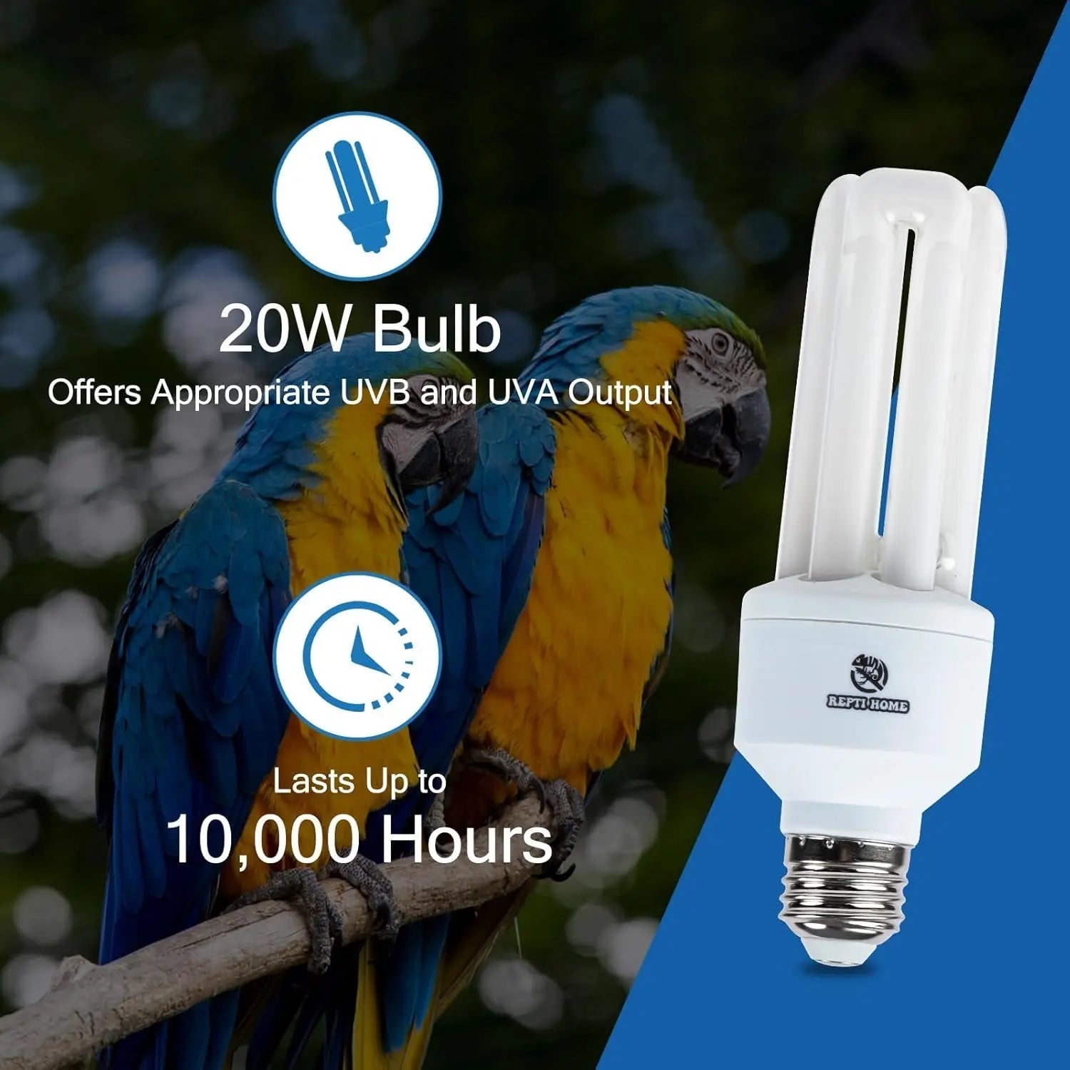 20W Full-Spectrum UVA UVB Bird Light Bulb – Compact Lamp
