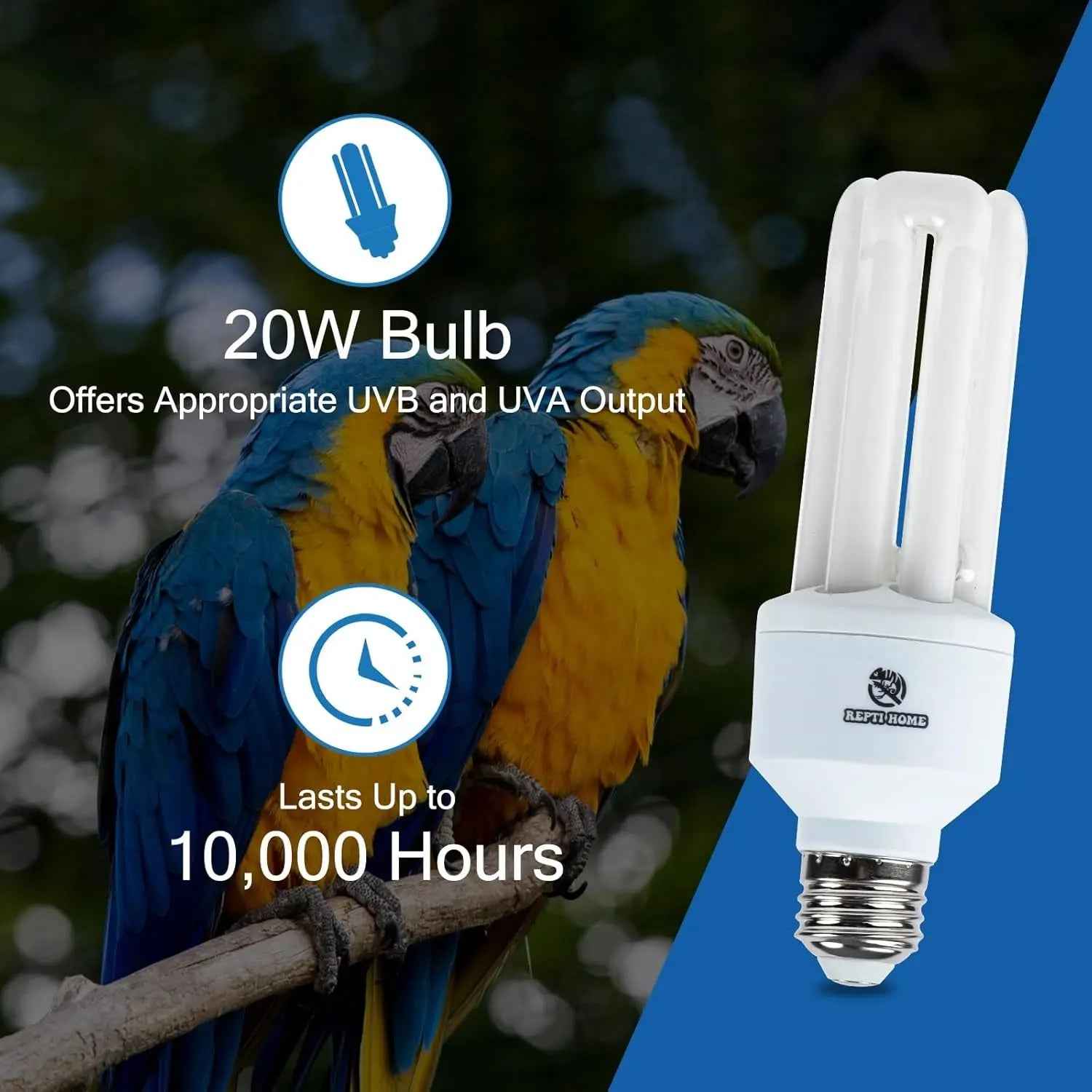 20W Full-Spectrum UVA UVB Bird Light Bulb – Compact Lamp