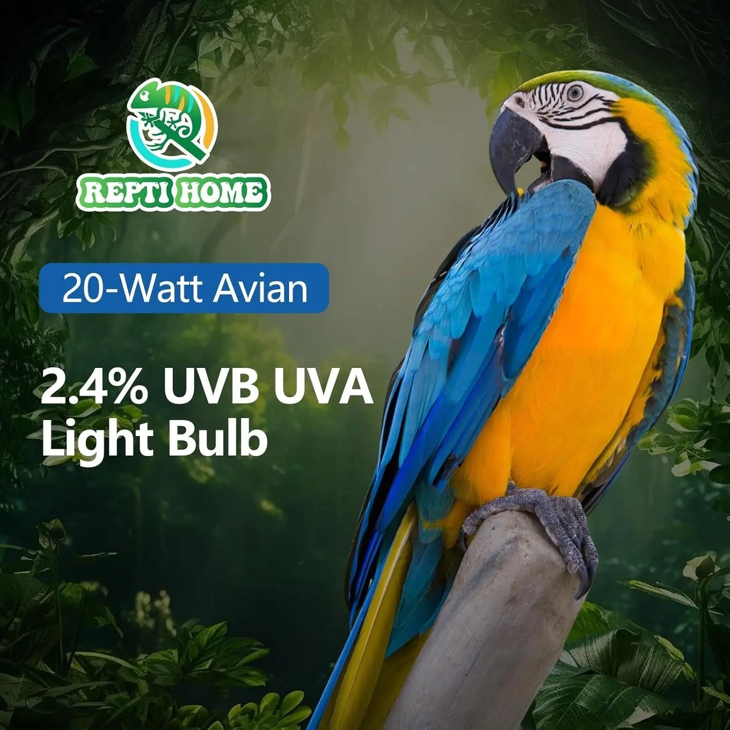 20W Full-Spectrum UVA UVB Bird Light Bulb – Compact Lamp