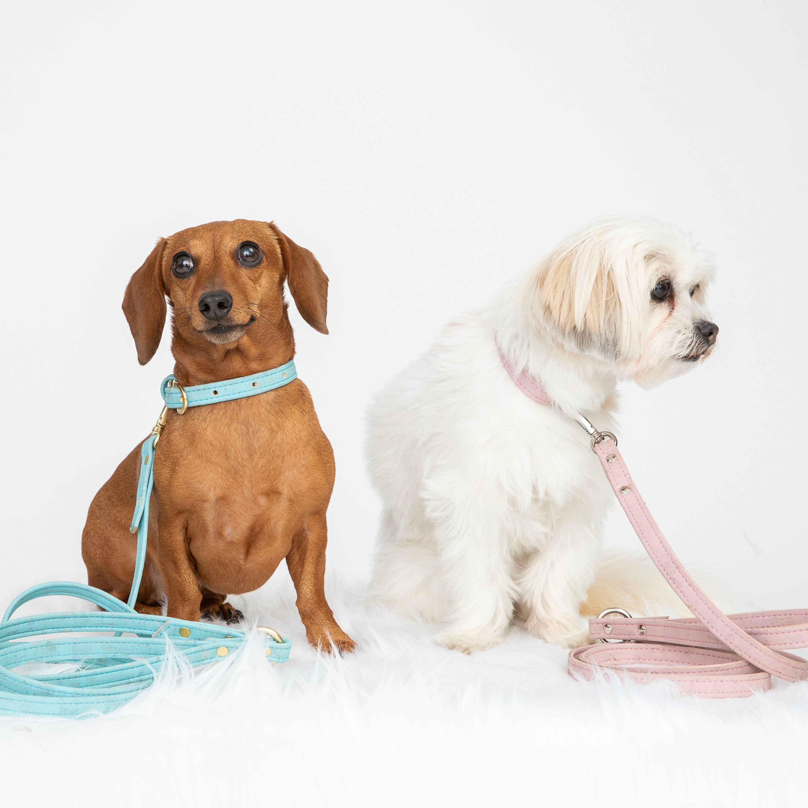 Sky Blue Cork Leather Leash