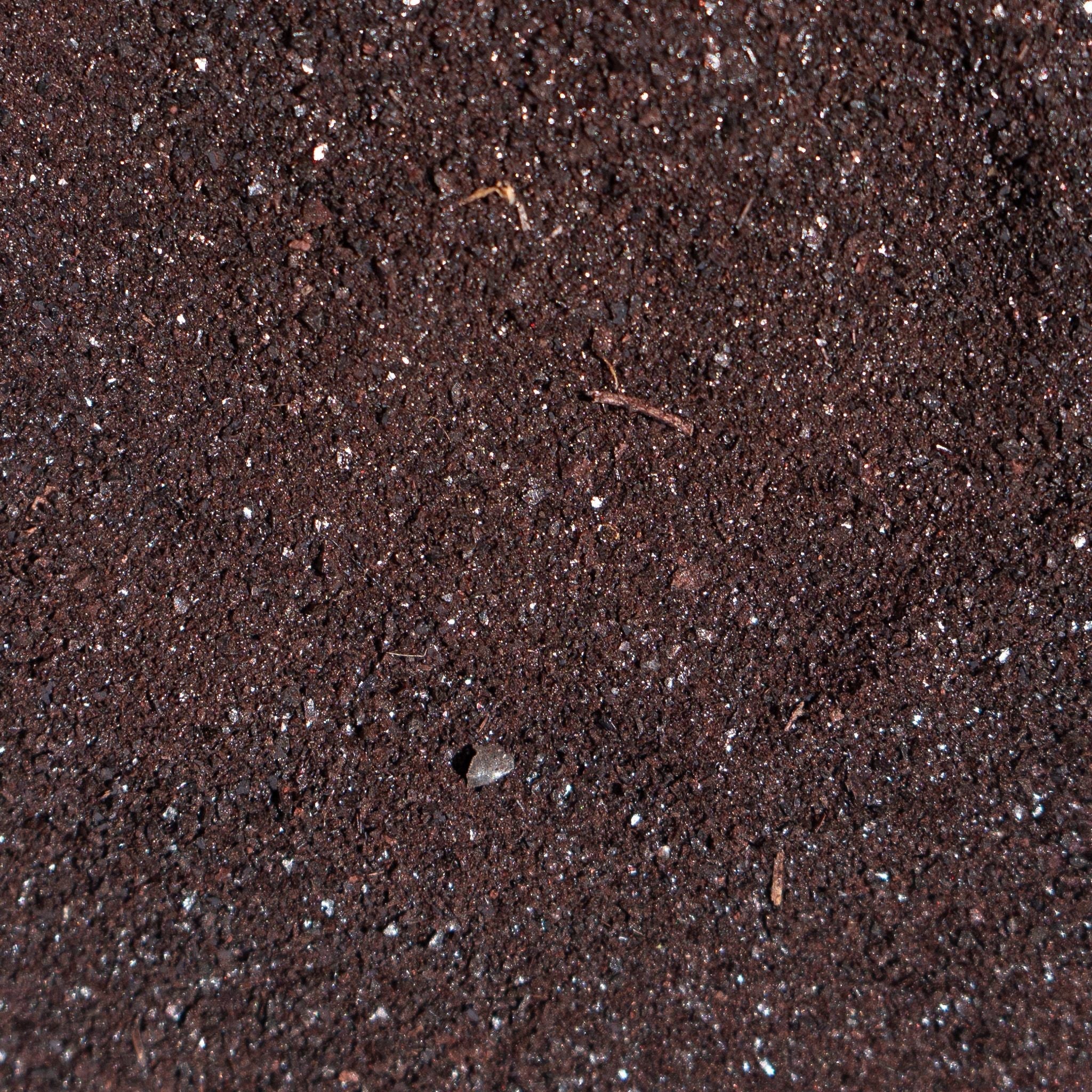 Freeze-Dried Beef Blood | Single Ingredient Meal Topper