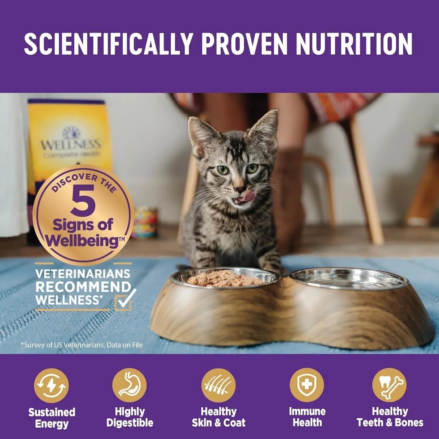 Wellness Complete Health Pate Adult Wet Cat Food, Natural, Protein-Rich, Grain Free
