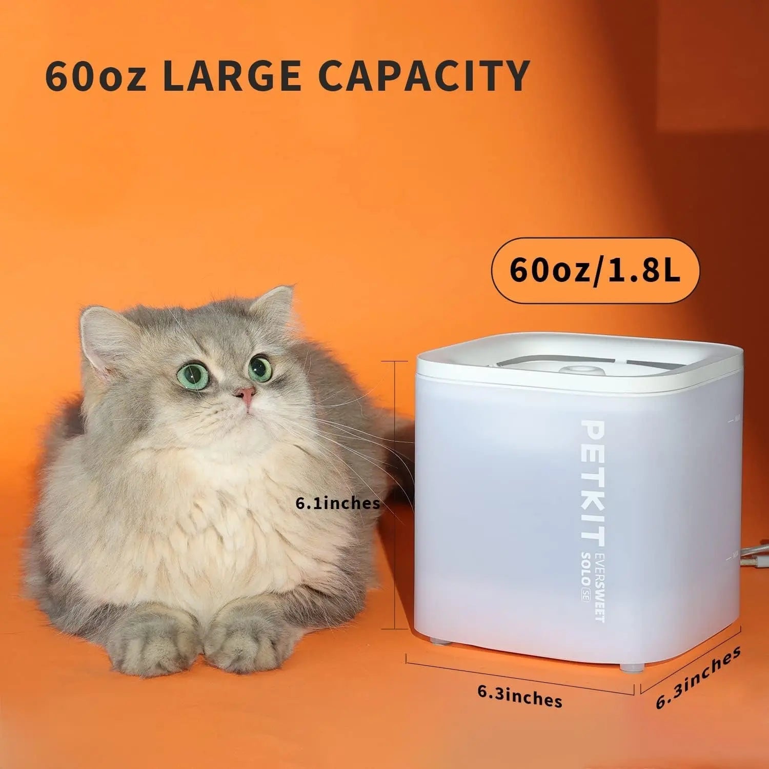 Wireless Cat Water Fountain 65oz 1.85L Ultra Quiet 25dB Detachable Pump Filters