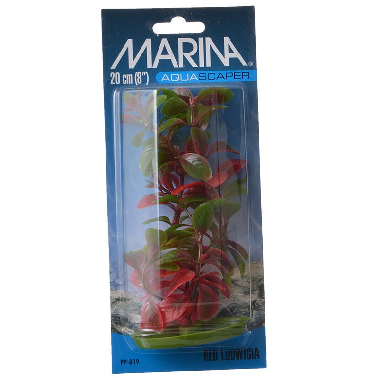 Marina Aquascaper Red Ludwigia, 8-Inch