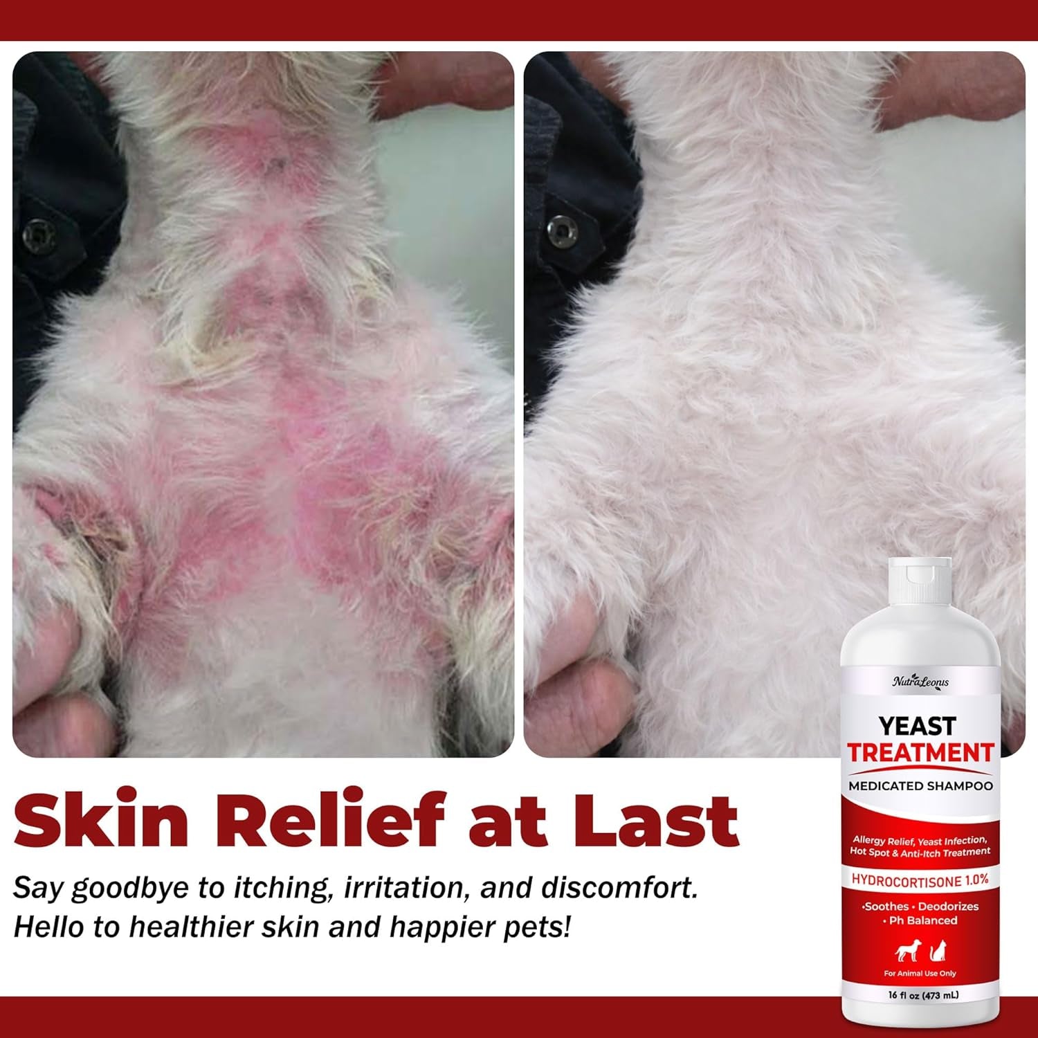 Anti Itch Dog Shampoo Yeast Infection Hot Spot Allergy Relief 16oz