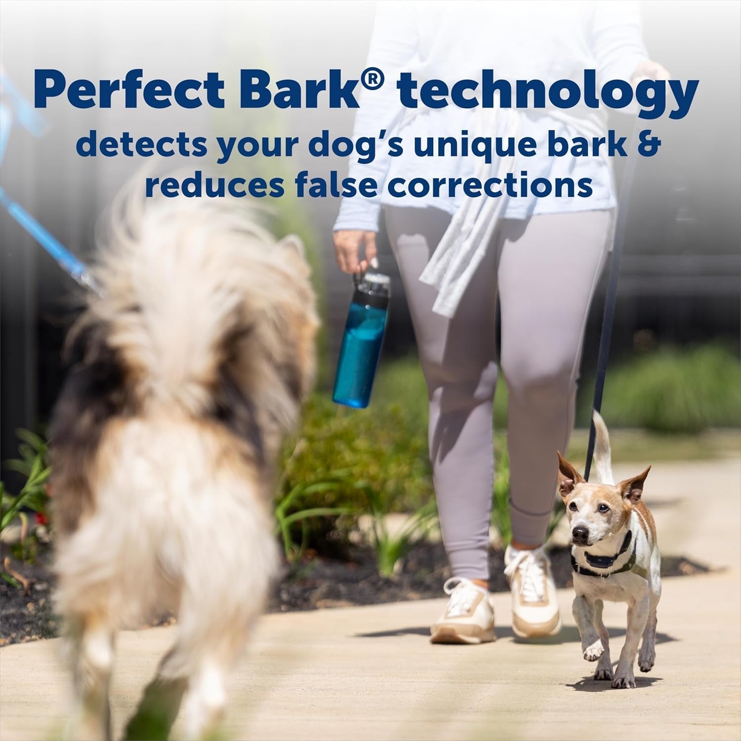 PetSafe NanoBark 2.0 Bark Collar for Small Dogs Rechargeable Waterproof