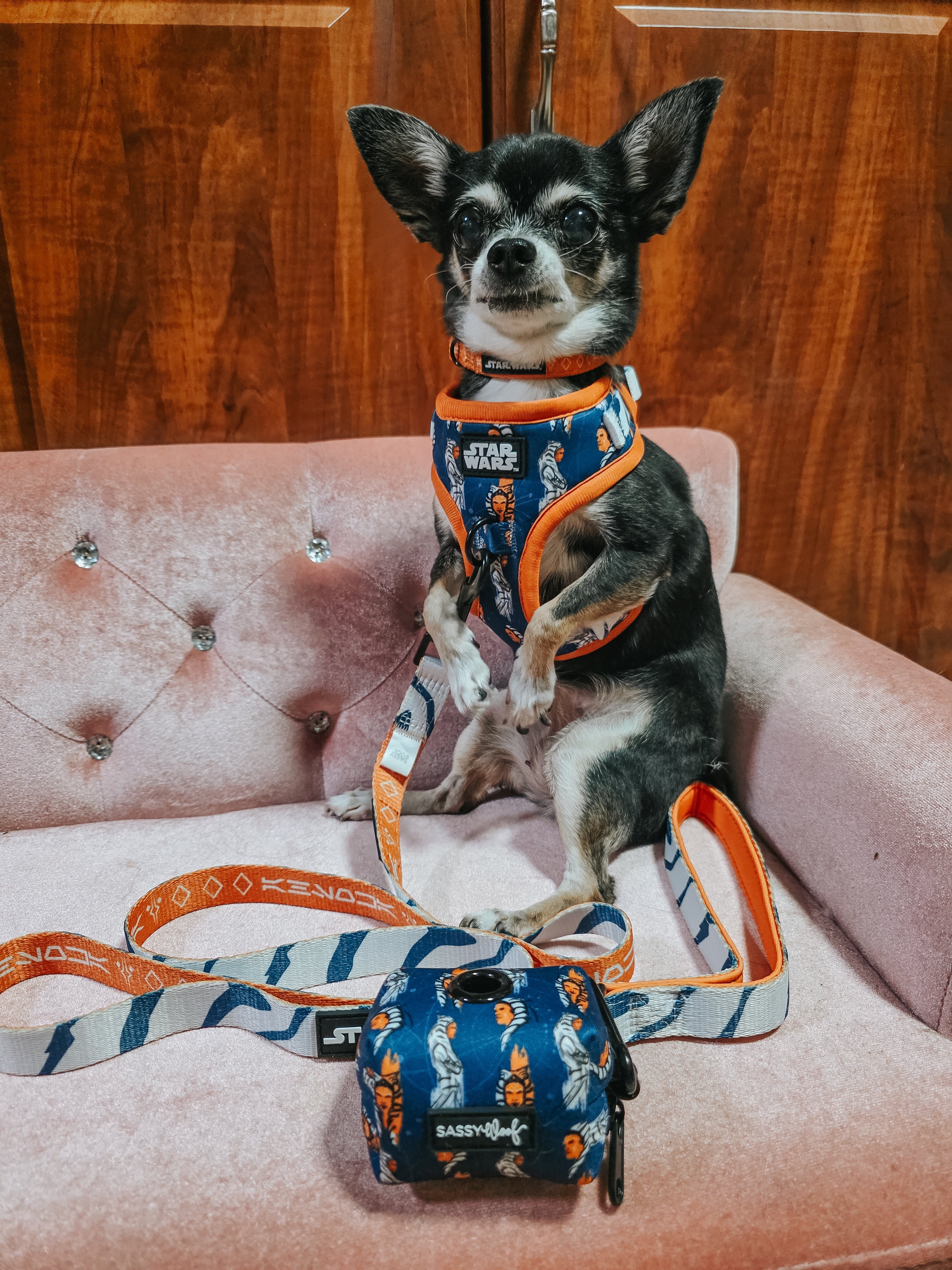 Dog Leash - STAR WARS™ Ahsoka