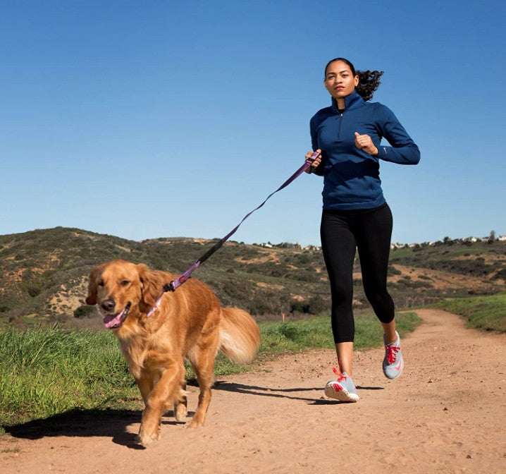 Halti Active Leash - Award-Winning Bungee Dog Leash, Shock-Absorbing, All-In-One Neoprene Padded Belt & Lead, Perfect For Running & Training With Small & Medium Dogs (Size Small, Red)