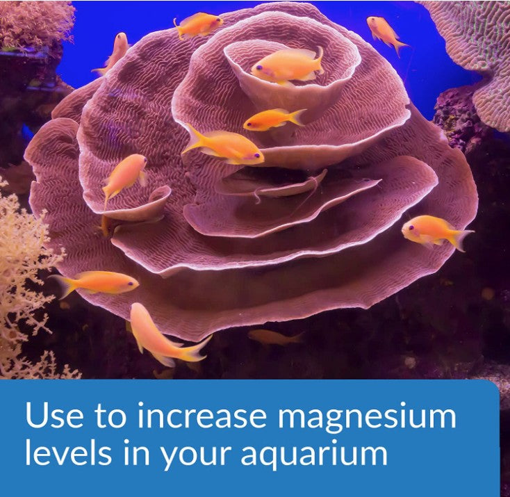 API Marine Magnesium Raises Magnesium Levels in Reef Aquariums