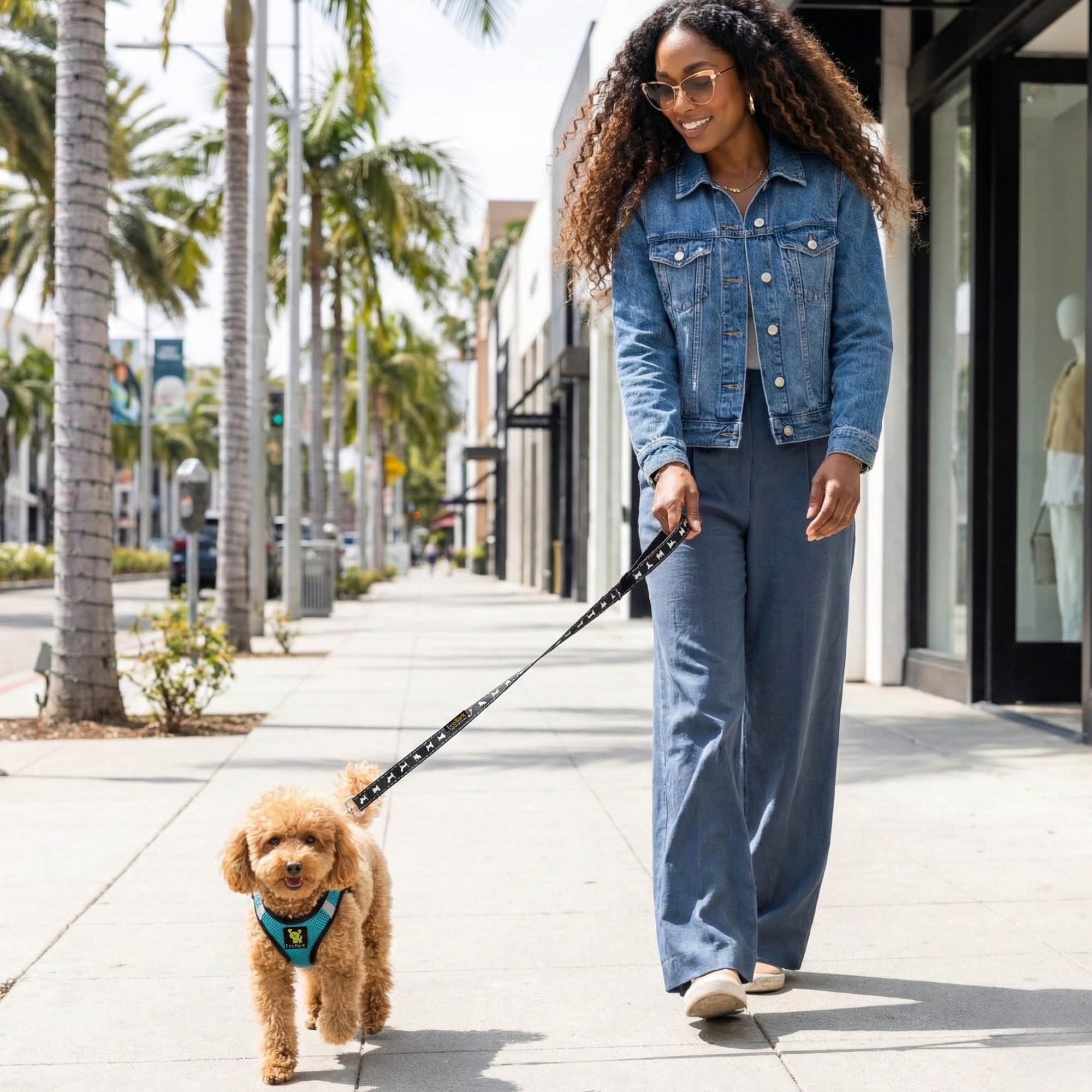 EcoBark Step In Dog Harness - Teacup & Small Breeds- Reflective Soft Mesh Harness for Teacup, Small Dogs and Puppies / Aqua Sport
