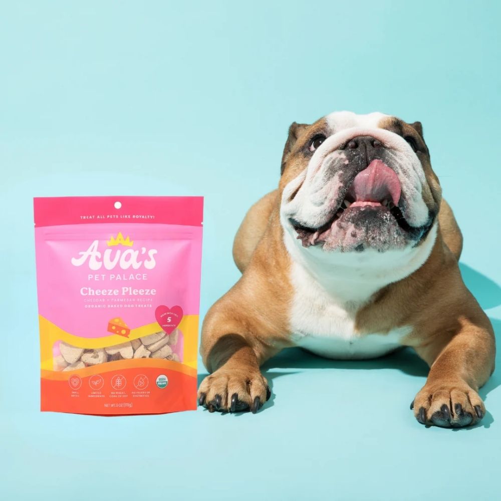 Ava's Pet Palace Cheeze Pleeze Organic Baked Dog Treats, 2-Pack