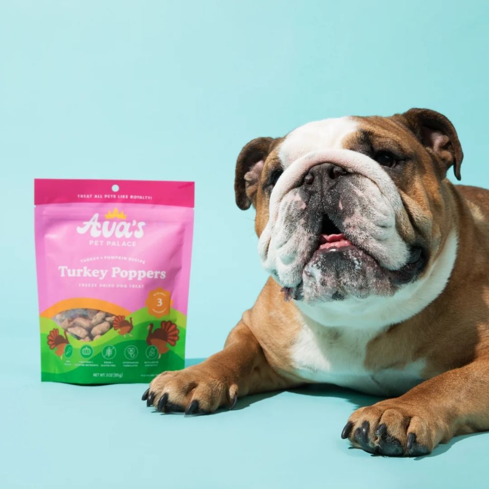 Ava's Pet Palace Freeze-Dried Turkey Poppers Dog Treats, 3 oz