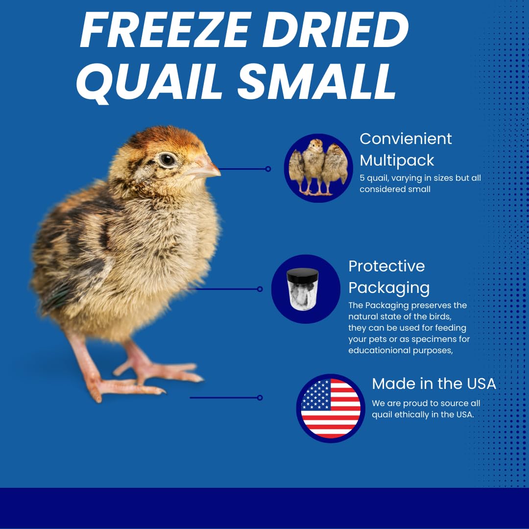 Whole Quail for Carnivore Pets - Premium Quality Natural Pet Treats Quail - Natural Prey Feeding Quail - Freeze-Dried for Essential Nutrients and Enzymes Small Size 5 Count