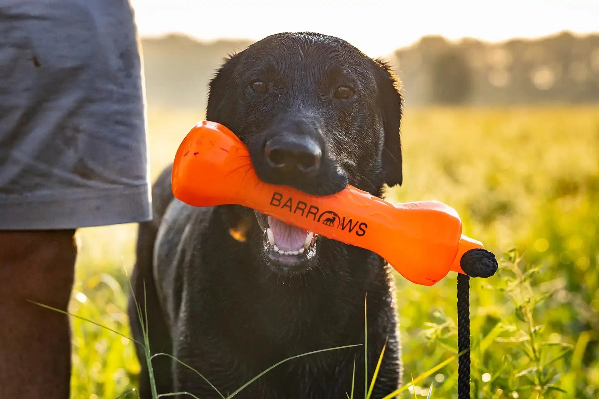 Barrows Training Bumper Pack - Orange