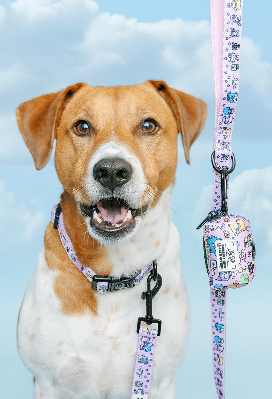 Dog Leash - Hello Kitty® & Friends Flower Festival