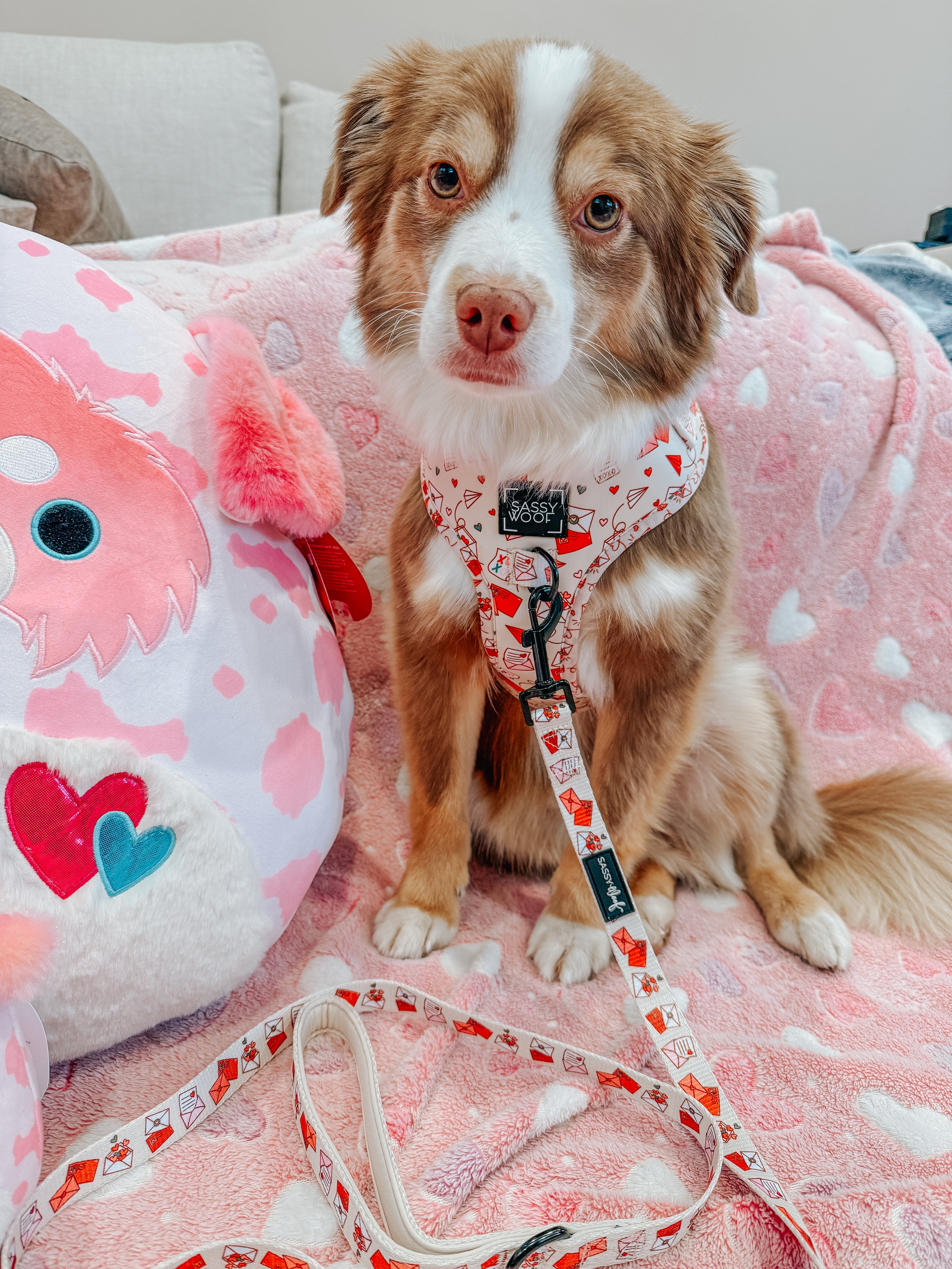 Dog Leash - P.S. I Woof You