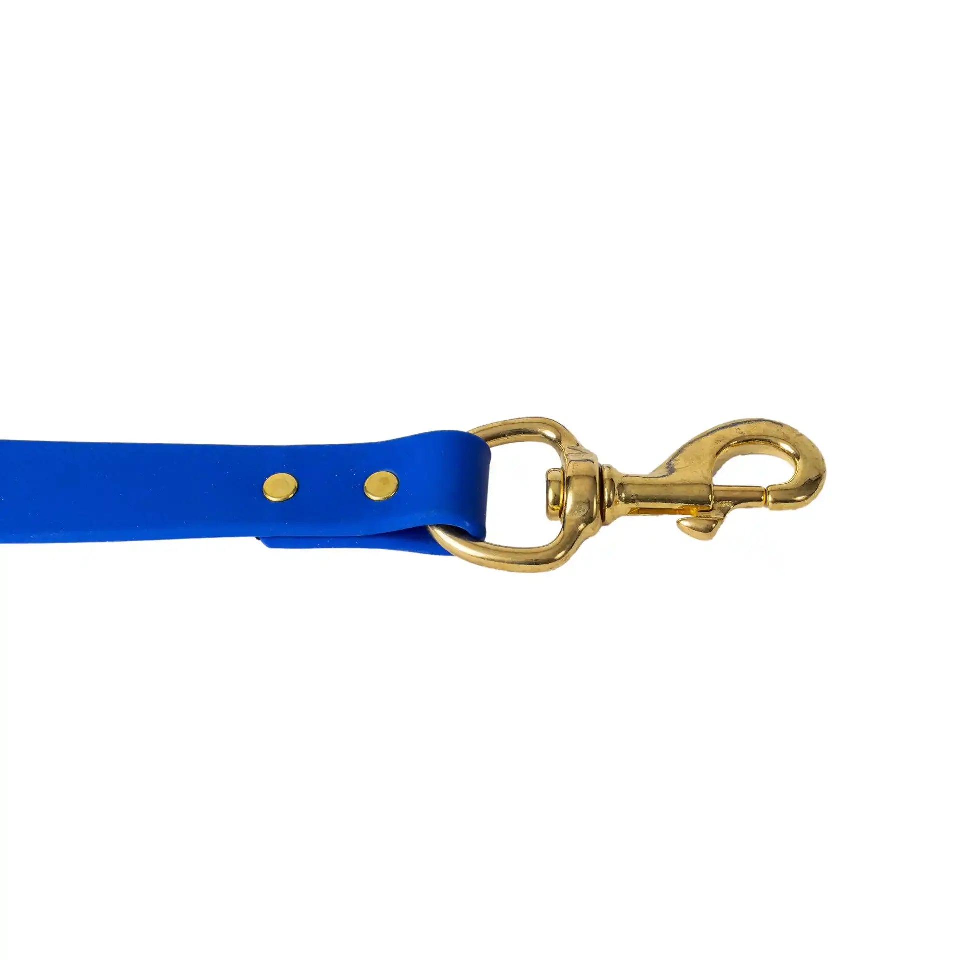 Barrows Dog Leash - Blue