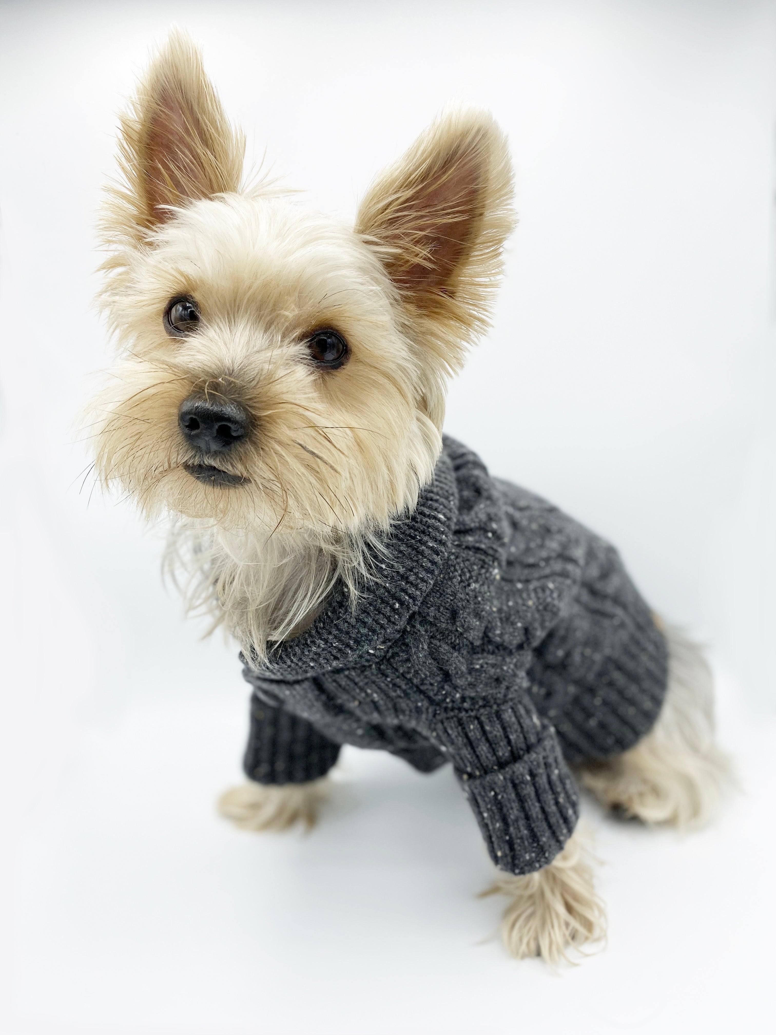 Brooklyn Cashmere Cardigan, Charcoal
