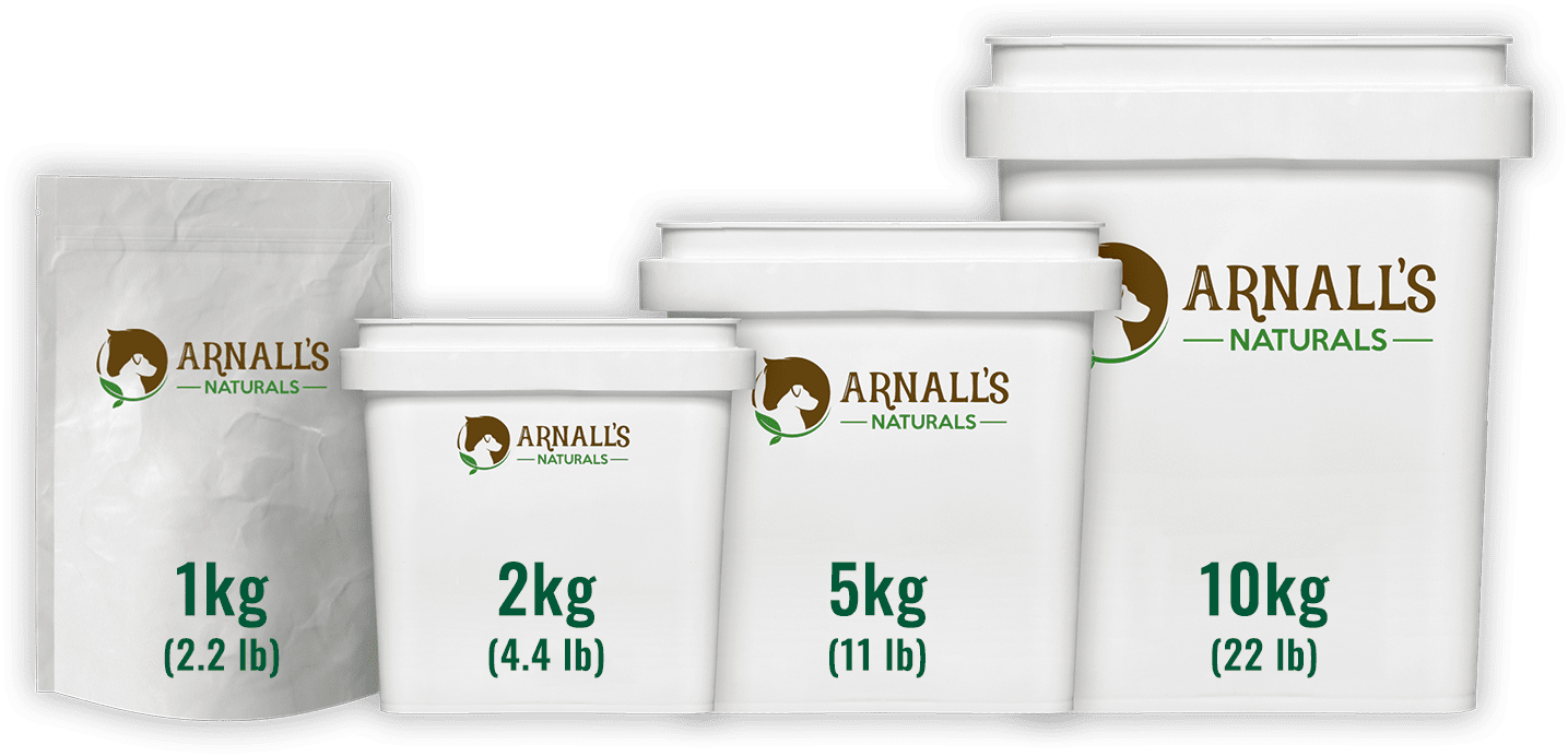 Total Plus: Performance Wellness and Maintenance