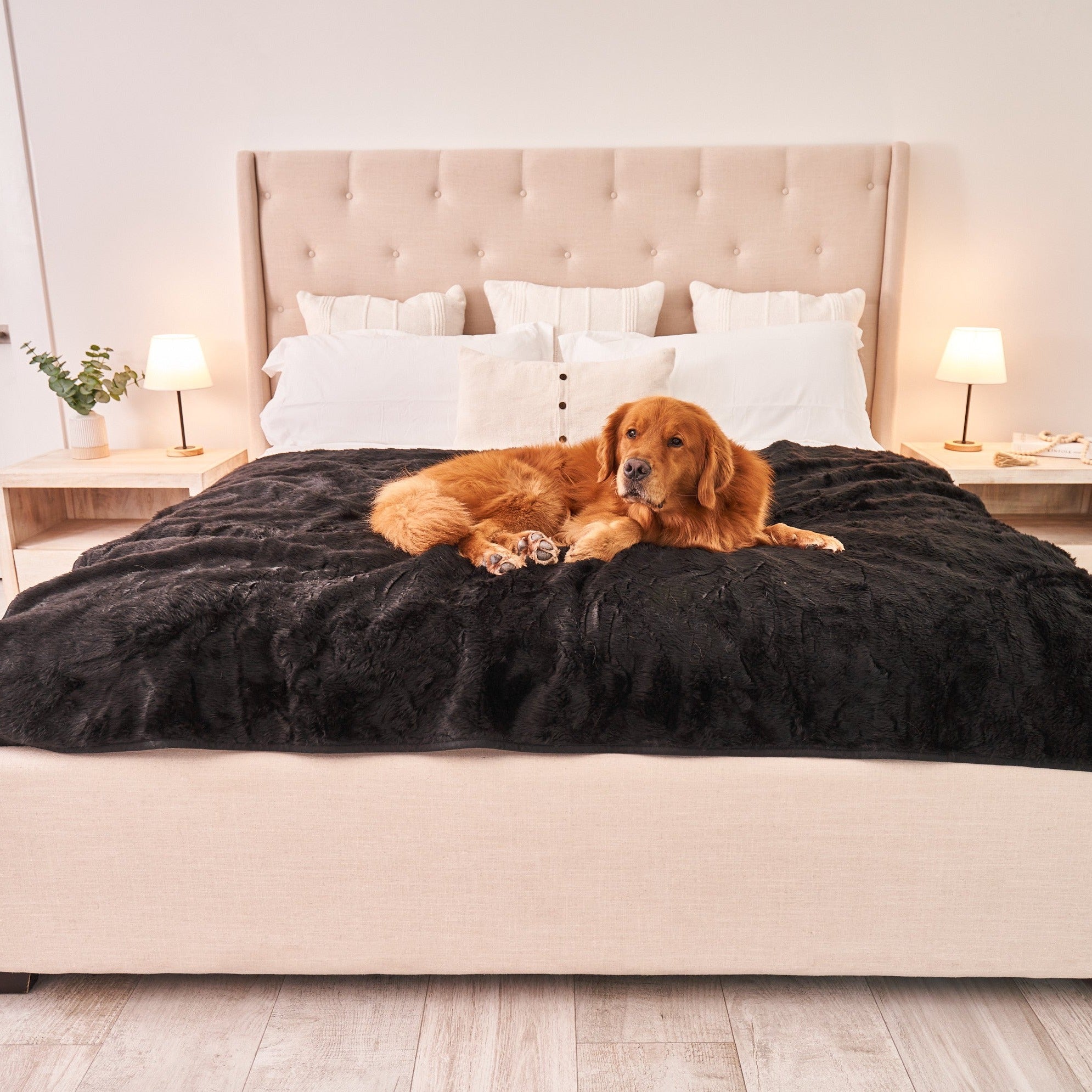 PupProtector Summer Short Fur Waterproof Throw Blanket - Midnight Black