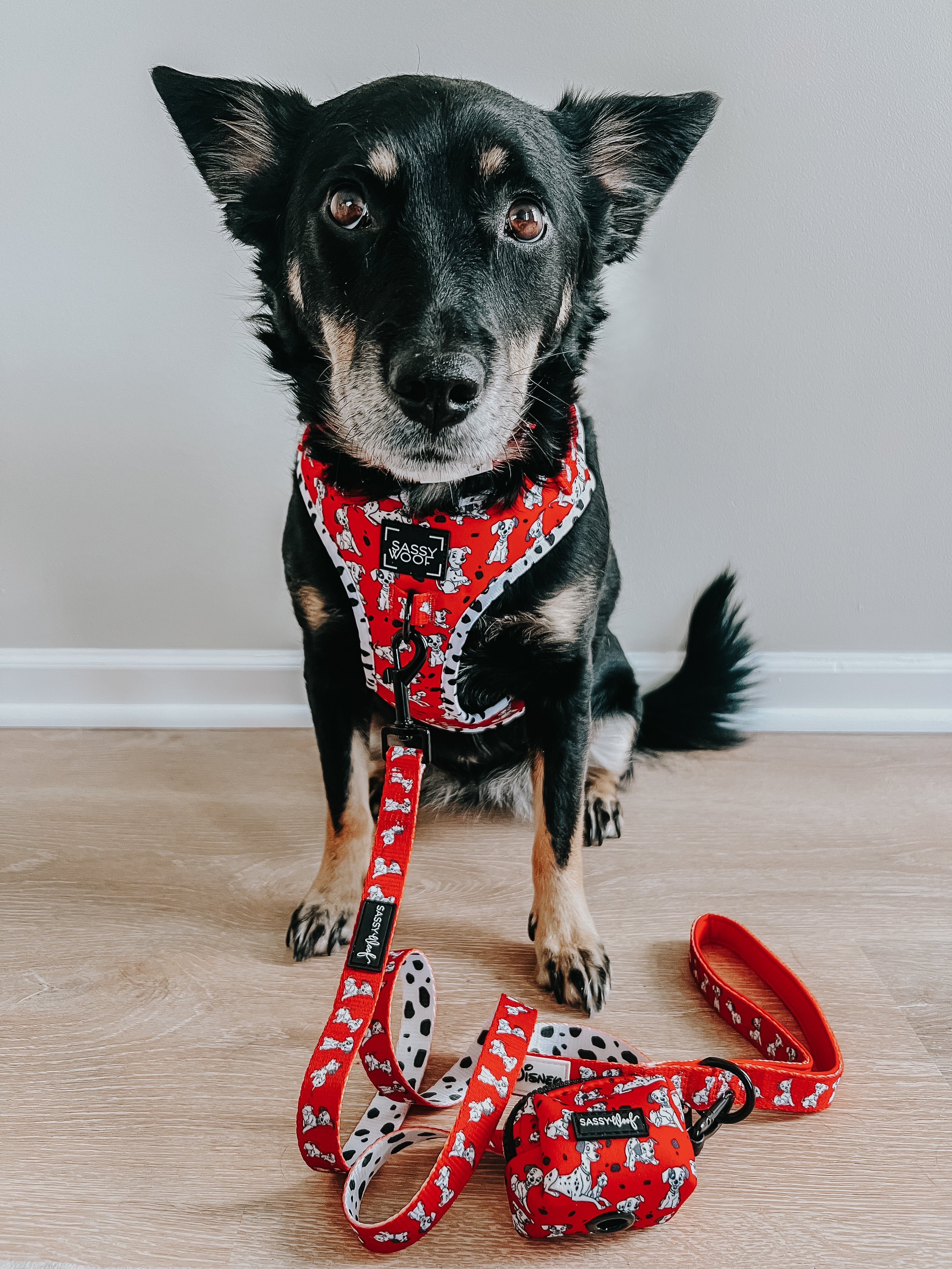 Dog Leash - Disney's 101 Dalmatians