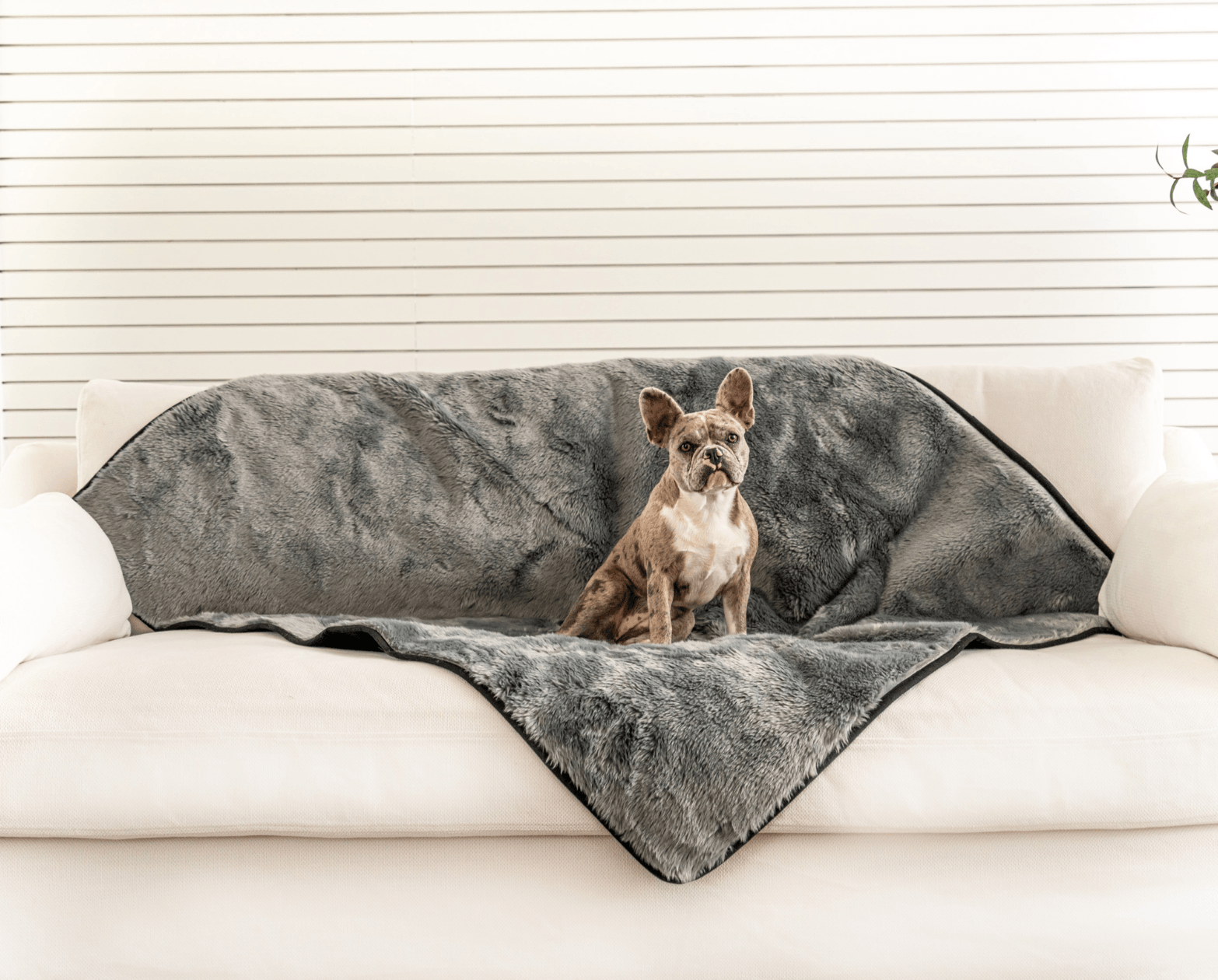 PupProtector Summer Short Fur Waterproof Throw Blanket - Charcoal Grey