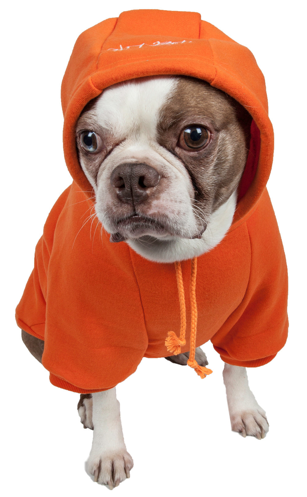 Fashion Plush Cotton Pet Hoodie Hooded Sweater(D0102H7Lc5A.)