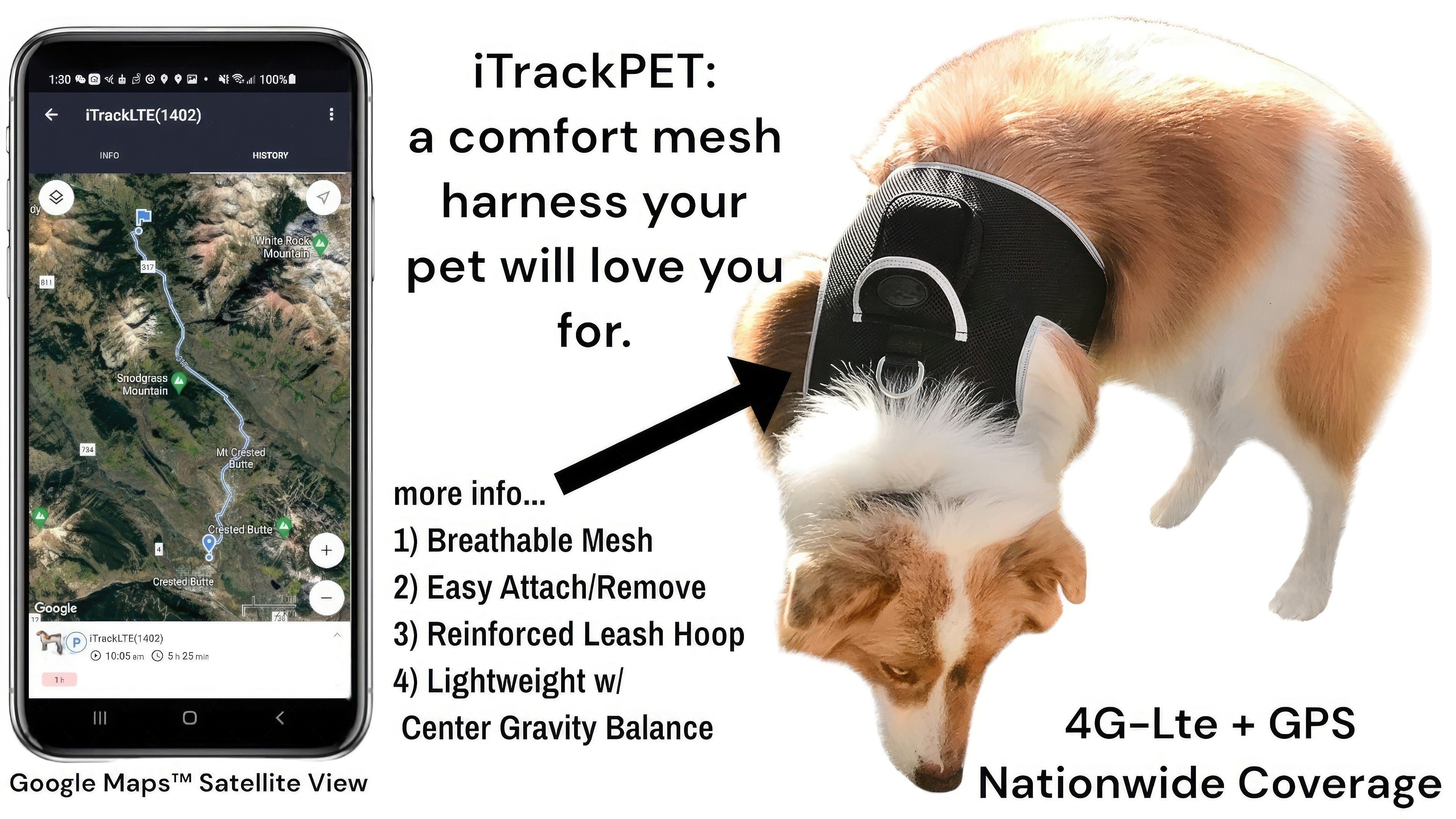 Rechargeable Collar Dog & Cat GPS Tracker Realtime Solution for Pet Surveillance Size:S